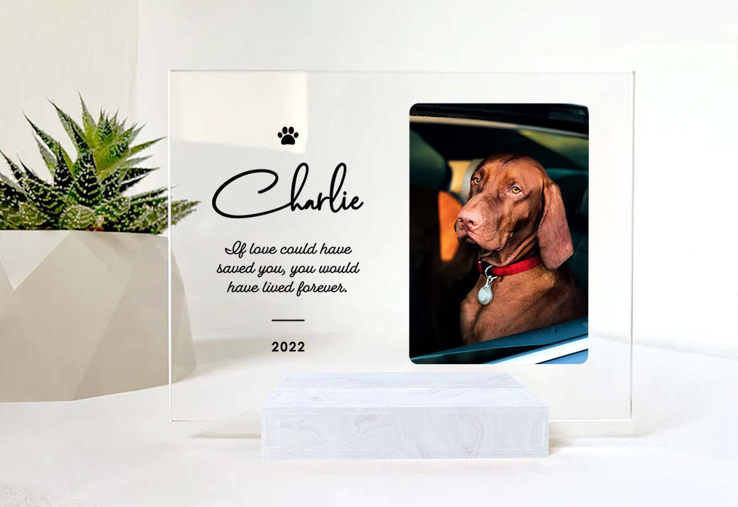 Custom Photo Acrylic Plaque • Memorial Gift For Cat Lovers • Personalized Photo Framed For Cat Passed Over • Sympathy Gift For Loss Of Cat