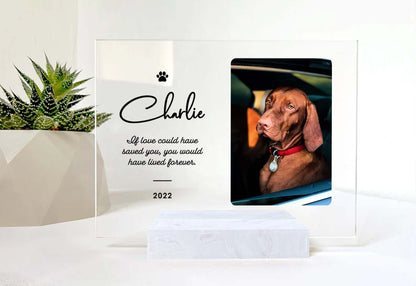 Custom Photo Acrylic Plaque • Memorial Gift For Cat Lovers • Personalized Photo Framed For Cat Passed Over • Sympathy Gift For Loss Of Cat