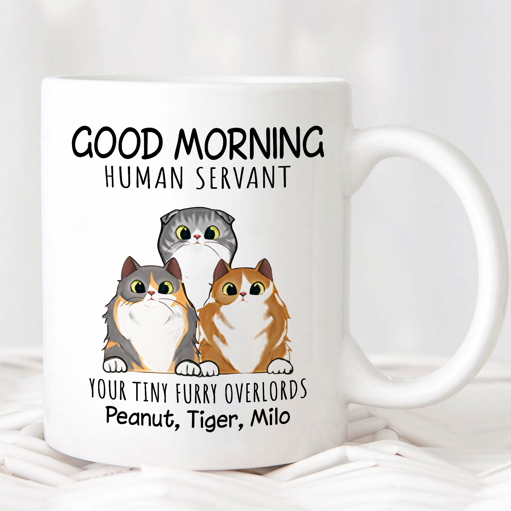 Good Morning Human Servant Your Tiny Furry Overlord • Custom Mug For Cat Lovers • Personalized Funny Gift For Cat Dad And Cat Mom