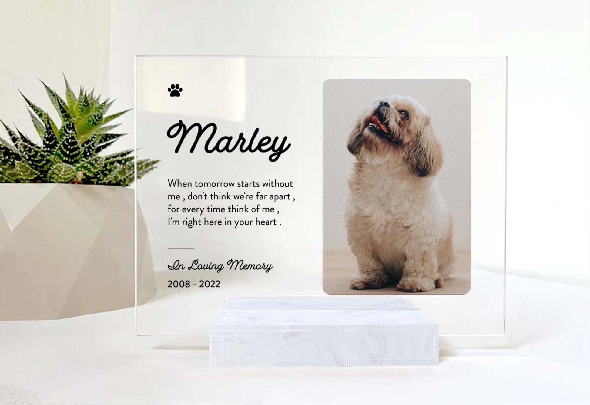 Custom Photo Memorial Gift For Cat Lovers • Personalized Photo Framed For Cat Passed Over • Sympathy Gift For Loss Of Cat • Acrylic Plaque