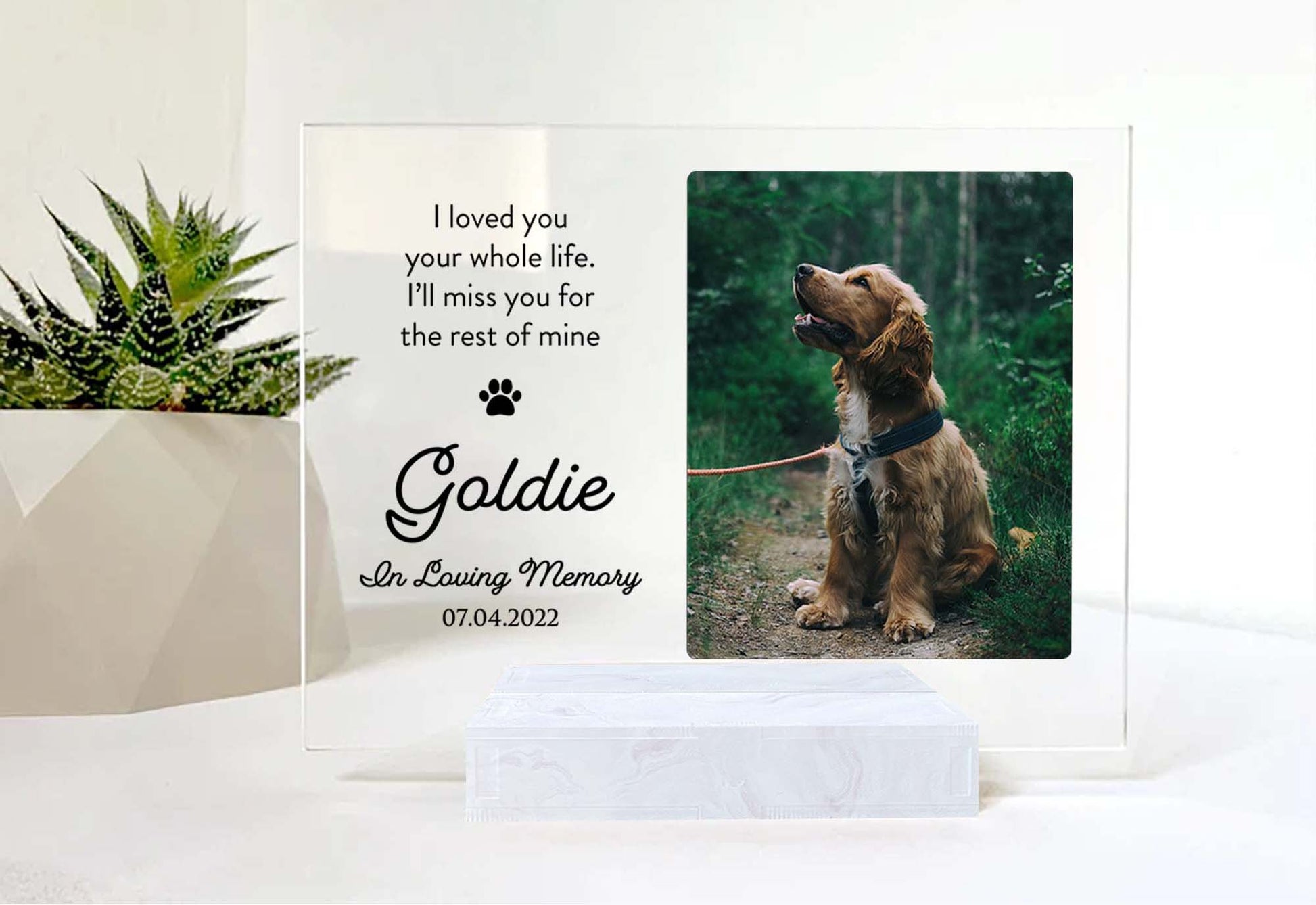 Custom Photo Memorial Gift For Cat Lovers • Personalized Photo Framed For Cat Passed Over • Sympathy Gift For Loss Of Cat • Acrylic Plaque