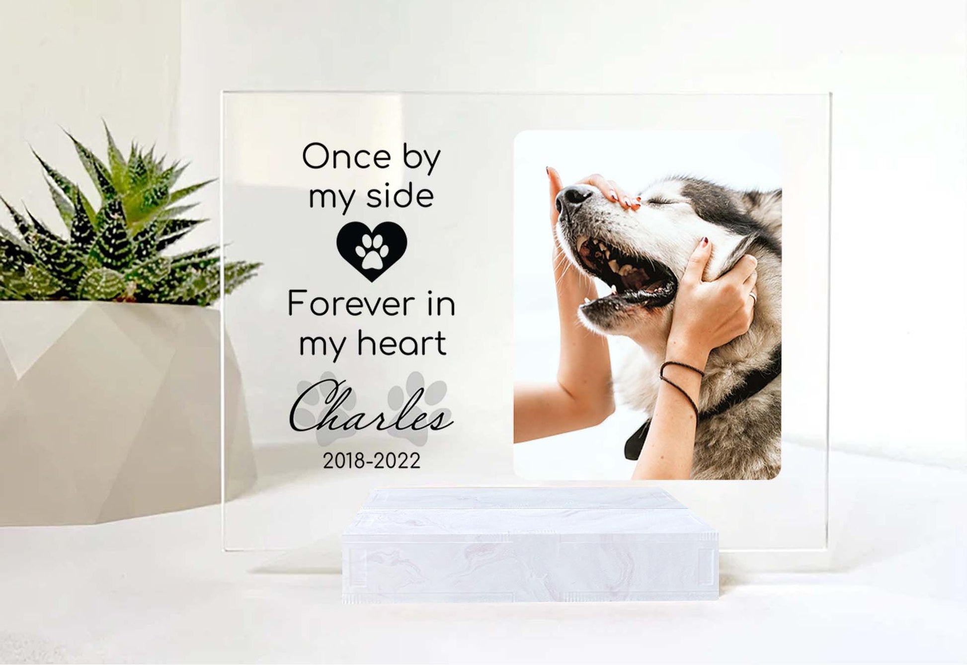 Custom Photo Memorial Gift For Cat Lovers • Personalized Photo Framed For Cat Passed Over • Sympathy Gift For Loss Of Cat • Acrylic Plaque