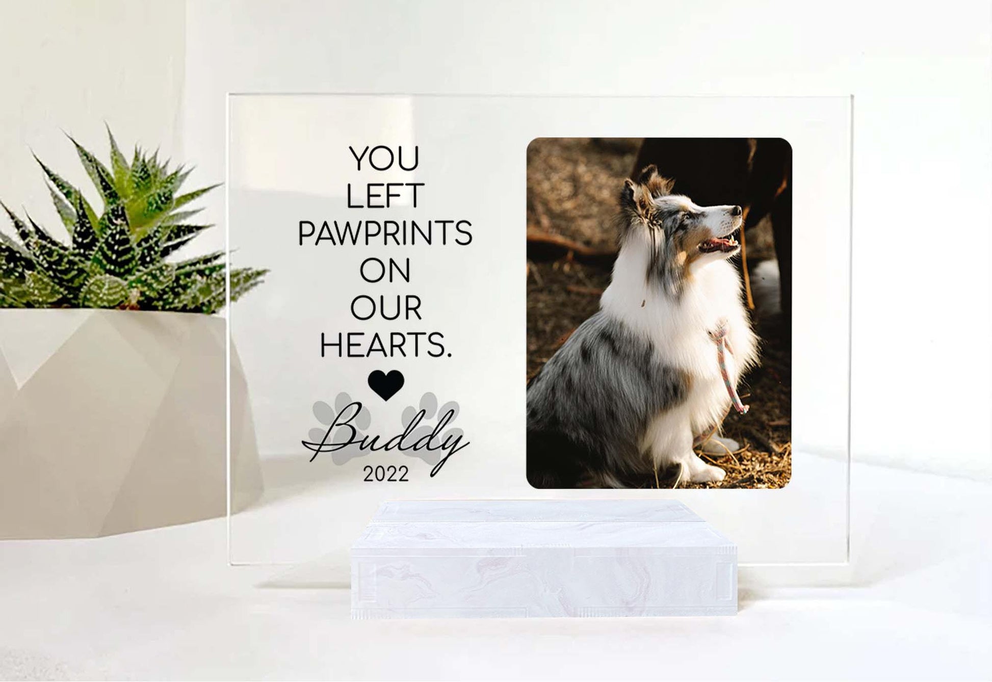 Custom Photo Memorial Gift For Cat Lovers • Personalized Photo Framed For Cat Passed Over • Sympathy Gift For Loss Of Cat • Acrylic Plaque