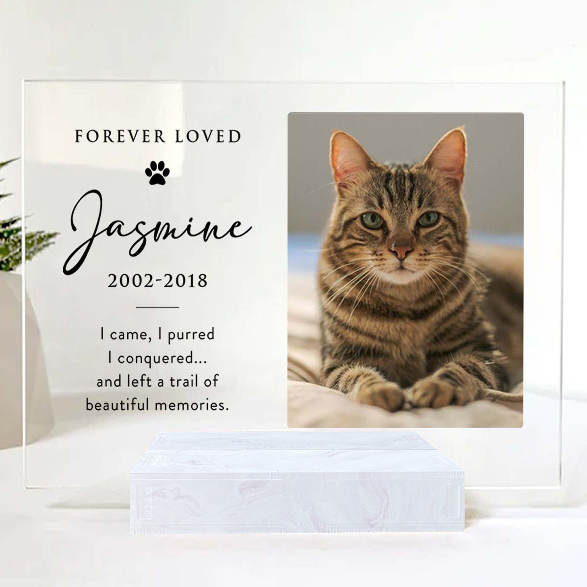 Custom Photo Acrylic Plaque • Memorial Gift For Cat Lovers • Personalized Photo Framed For Cat Passed Over • Sympathy Gift For Loss Of Cat