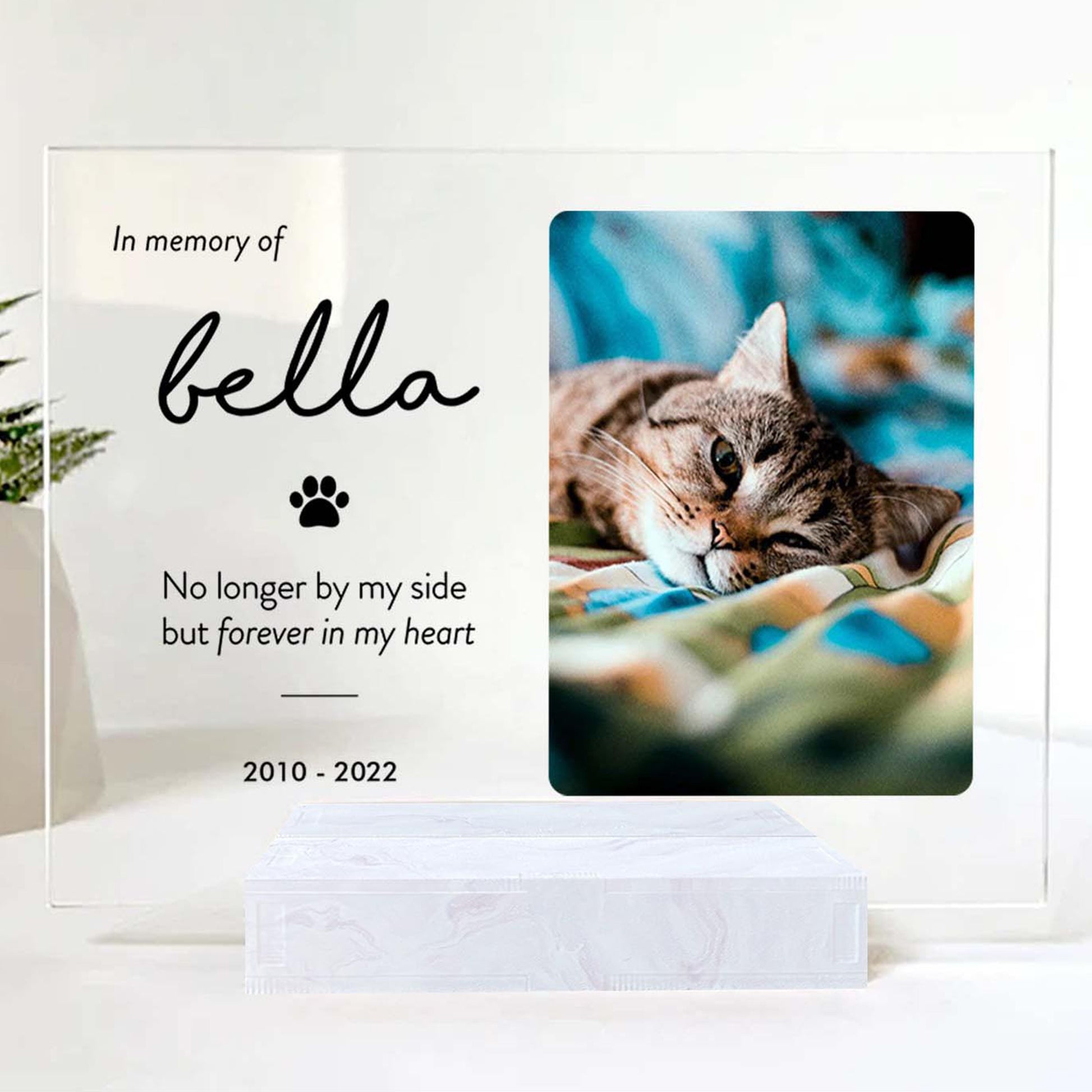 Memorial plaque for a cat named Bella with a photo of a sleeping cat and text.