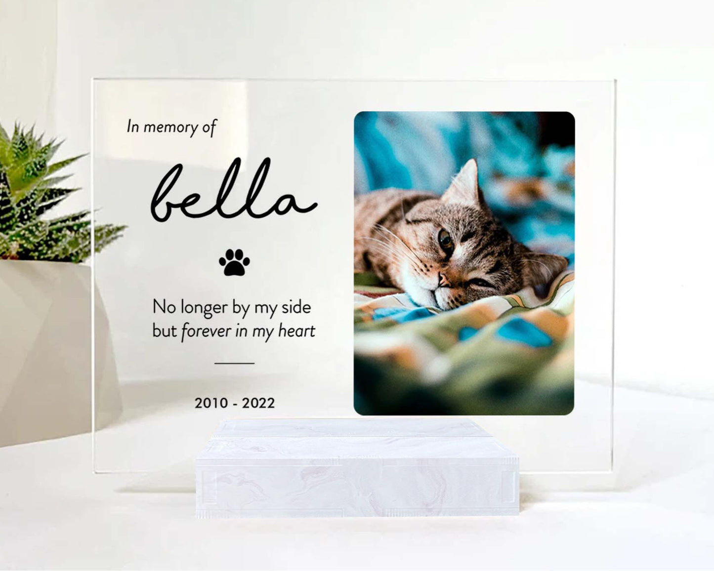 Custom Photo Acrylic Plaque • Memorial Gift For Cat Lovers • Personalized Photo Framed For Cat Passed Over • Sympathy Gift For Loss Of Cat