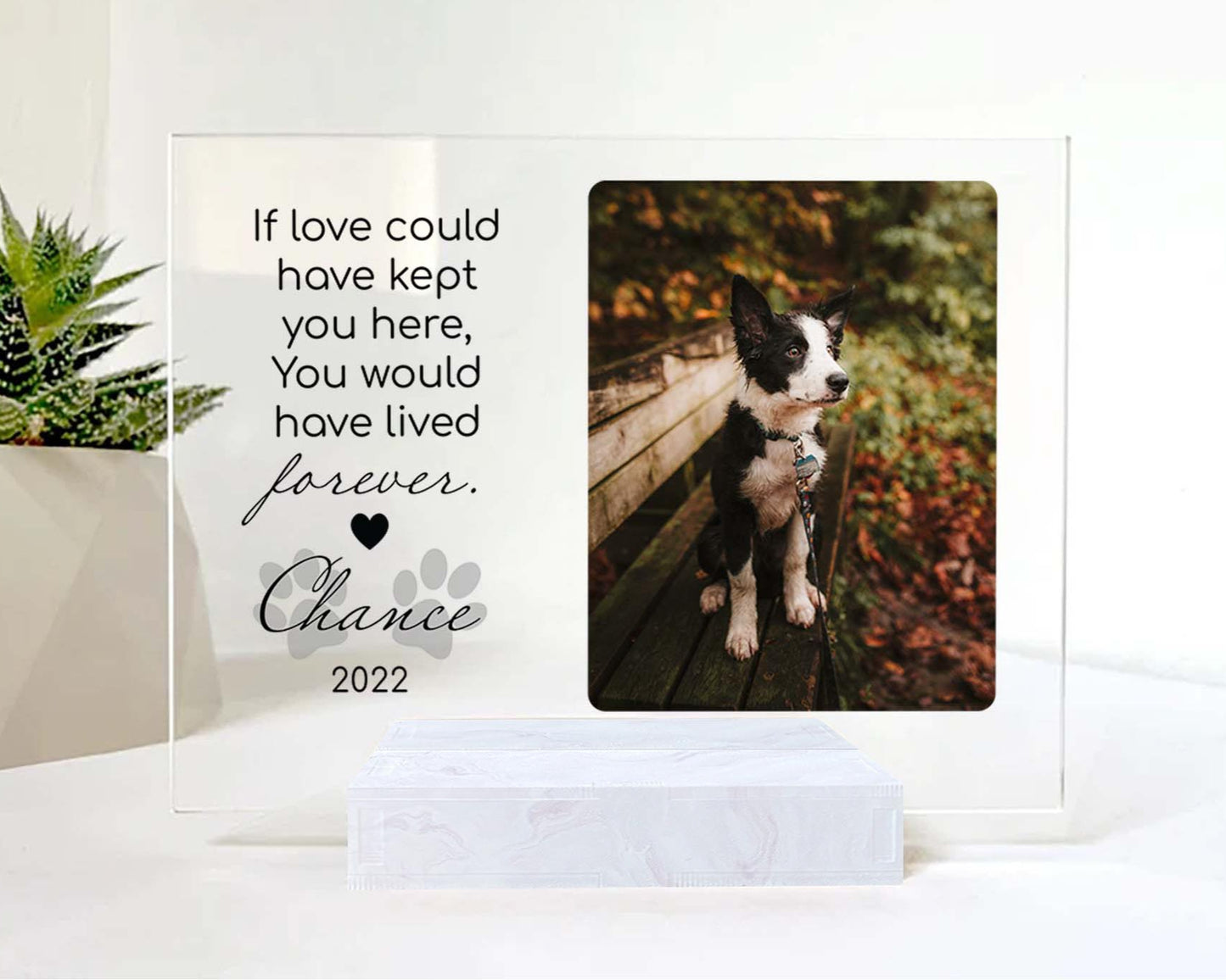 Custom Photo Acrylic Plaque • Memorial Gift For Cat Lovers • Personalized Photo Framed For Cat Passed Over • Sympathy Gift For Loss Of Cat
