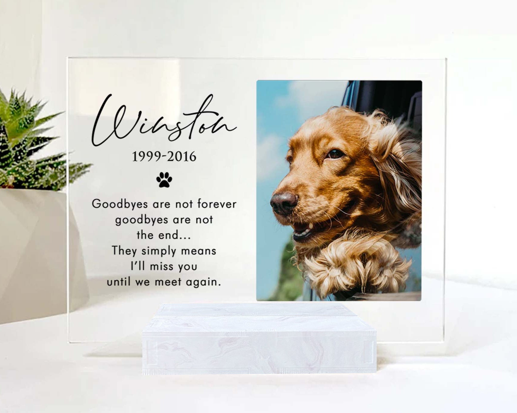 Custom Photo Memorial Gift For Dog Lovers • Personalized Photo Framed For Dog Passed Over • Sympathy Gift For Loss Of Dog • Acrylic Plaque