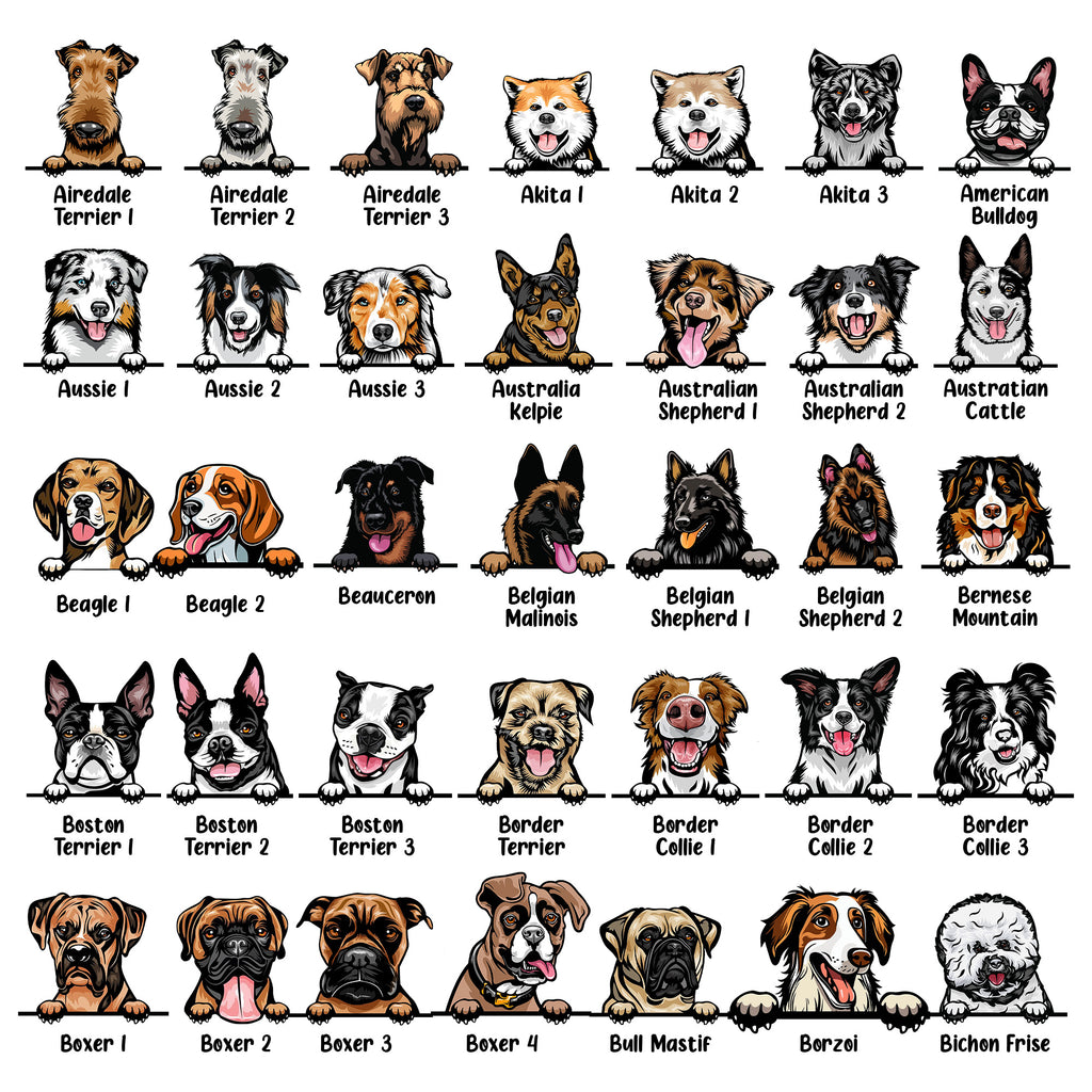Illustrations of various dog breeds arranged in a grid.