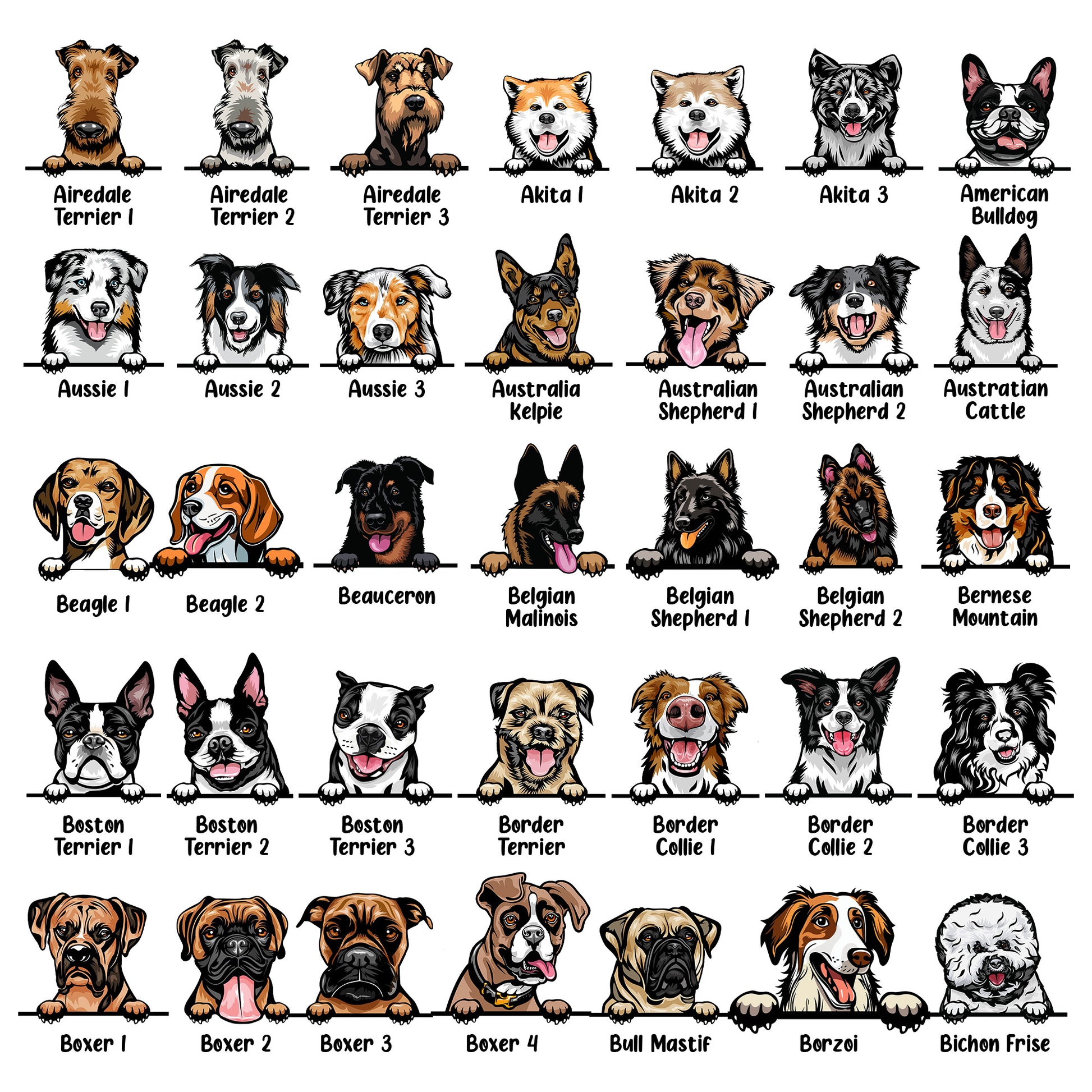Illustrations of various dog breeds arranged in a grid.