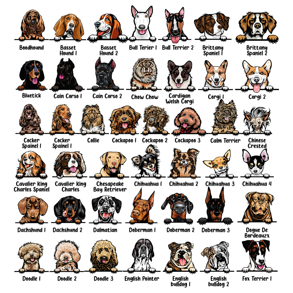 Illustrations of various dog breeds arranged in a grid.