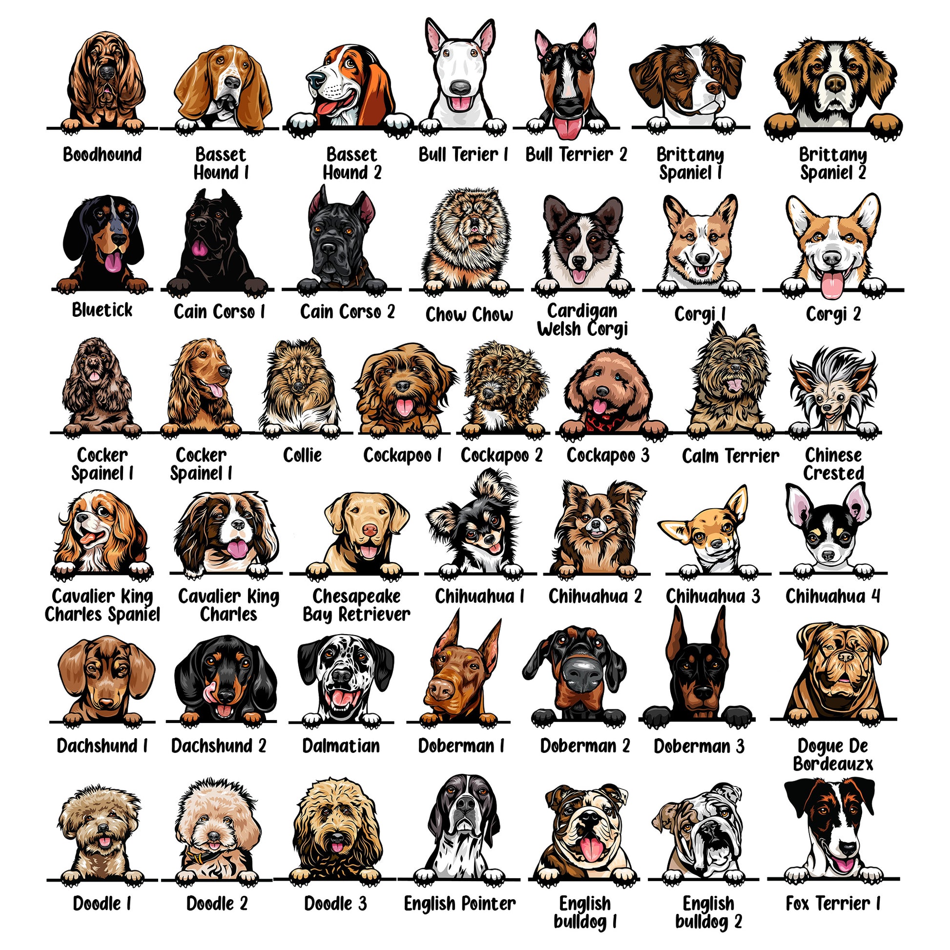 Illustrations of various dog breeds arranged in a grid.