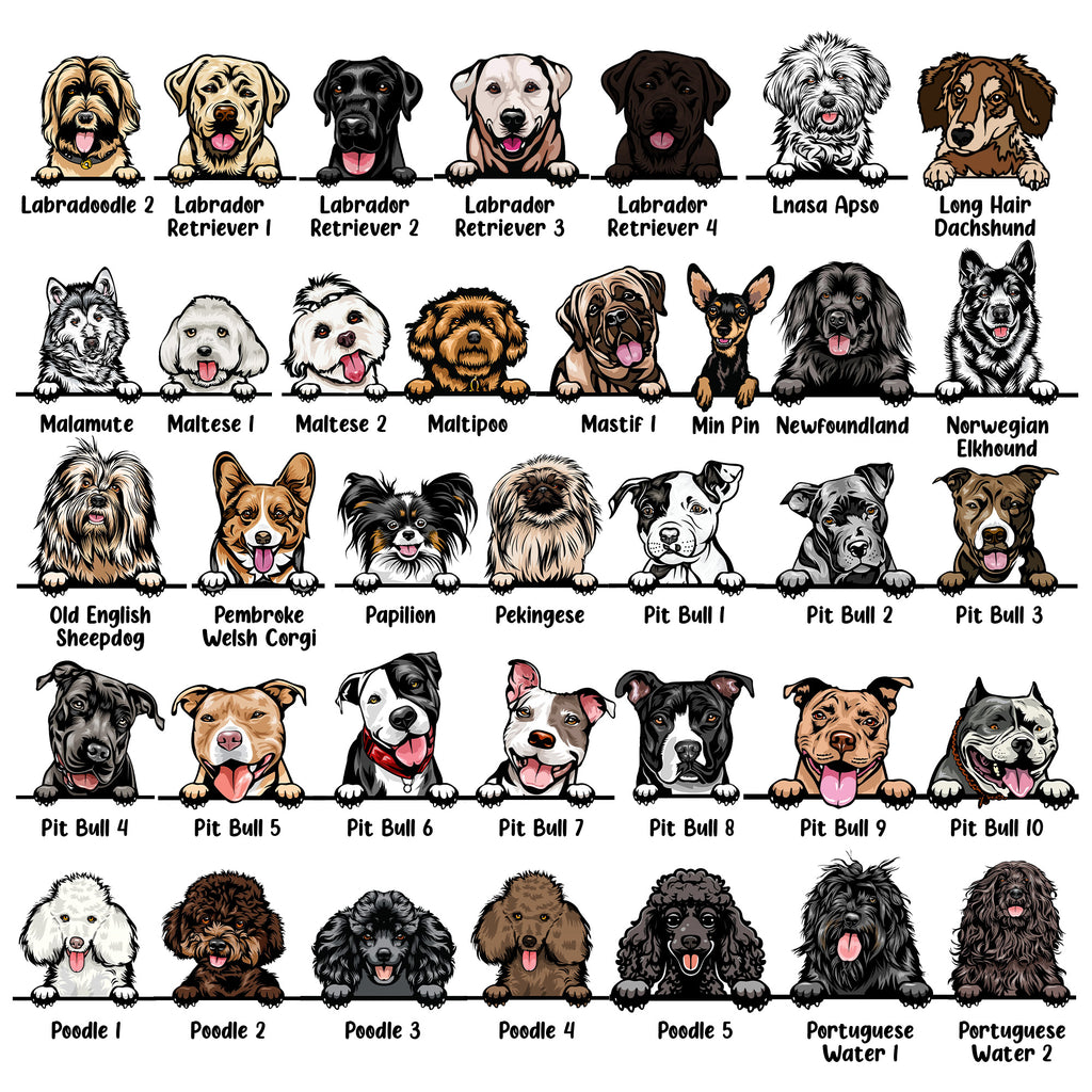 Illustration of various dog breeds arranged in a grid.