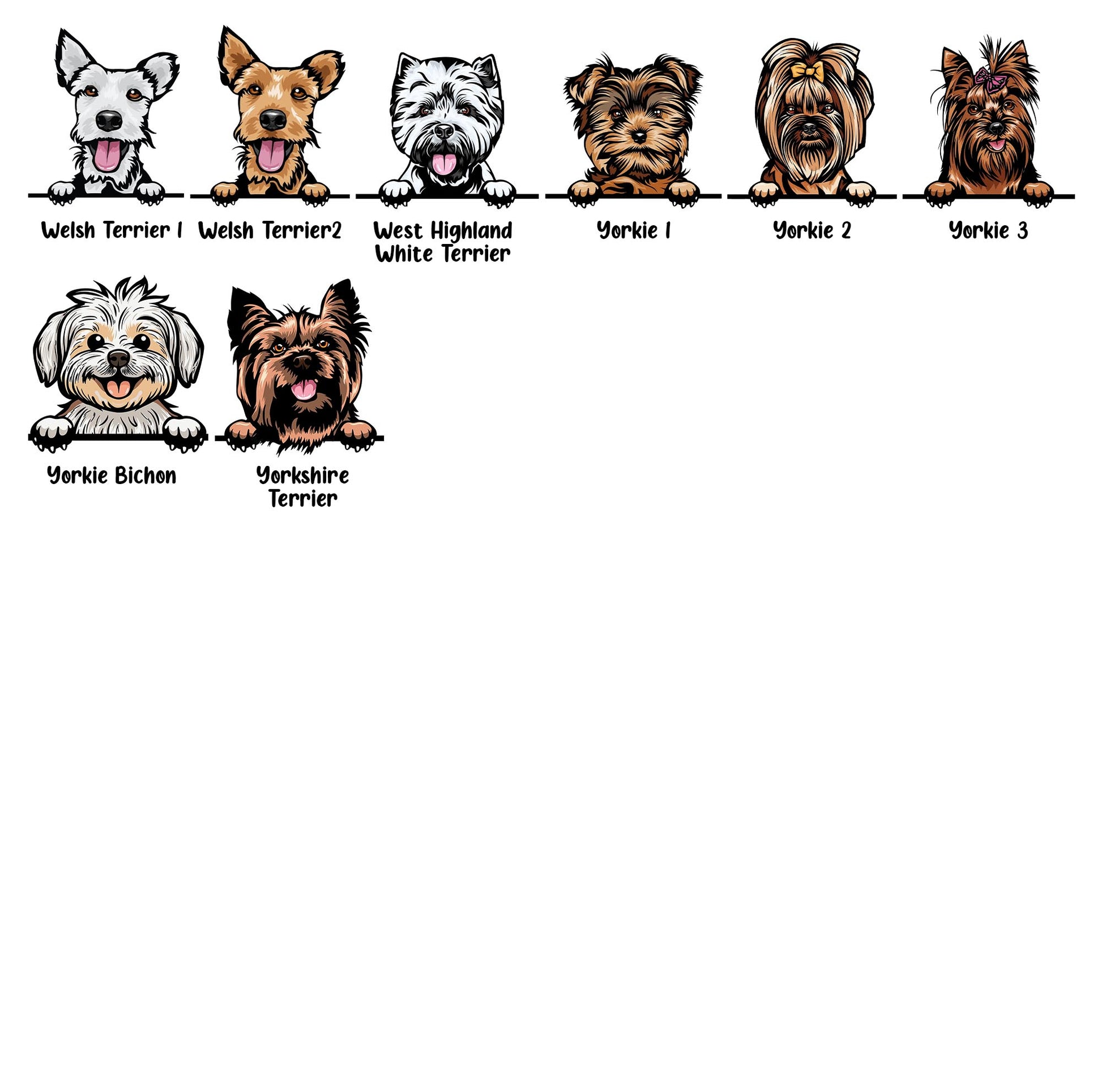 Illustrations of various Terrier dog breeds lined up on a white background