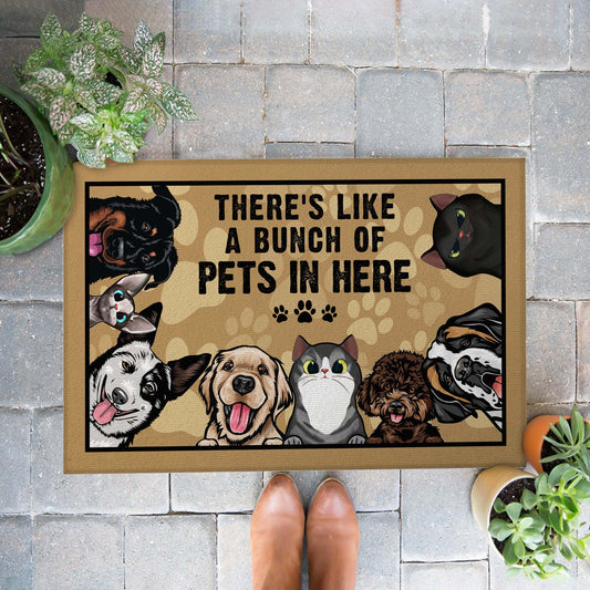 Personalized Dog & Cat Funny Doormat • Custom Doormat For Pet Lovers • Welcome Rug • Vintage Front Door Mat