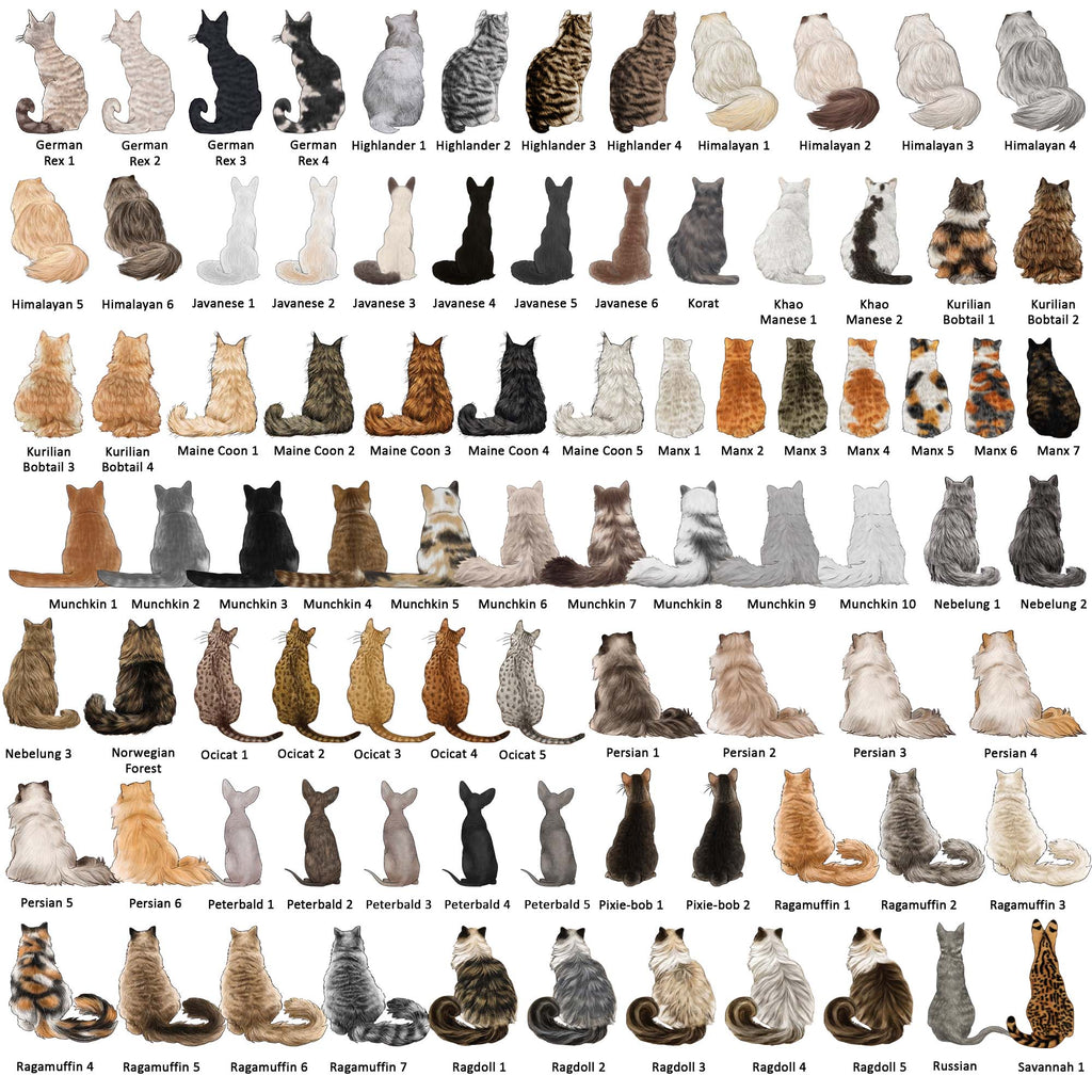 Grid of various cat breeds and colors on a white background