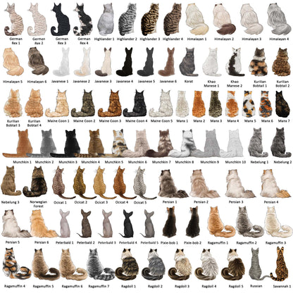 Grid of various cat breeds and colors on a white background
