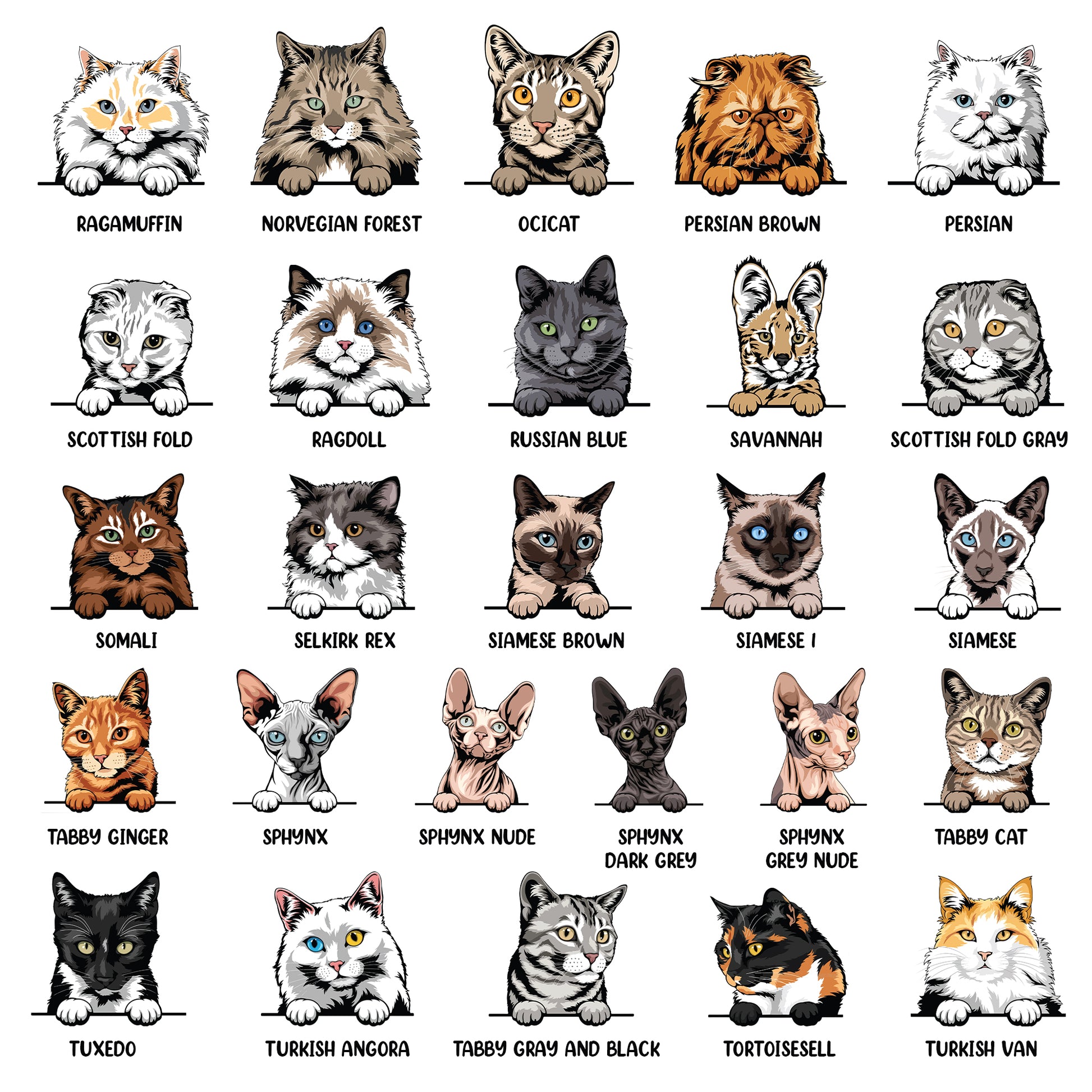 Illustrations of various cat breeds with names below each illustration.