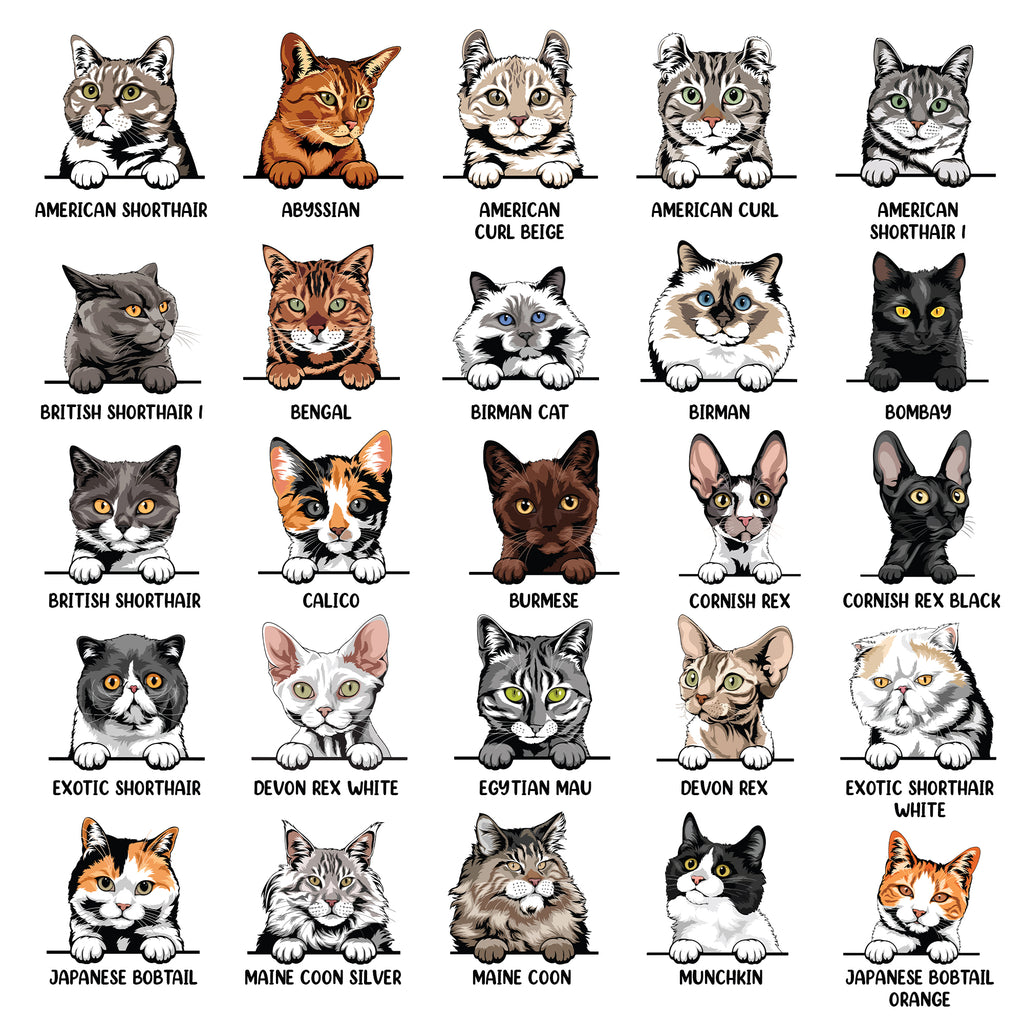 This Cat Lady Belongs To • Custom Mug For Cat Lovers • Personalized Funny Gift For Cat Dad And Cat Mom