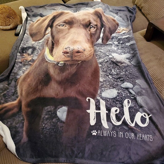 Personalized Dog Blanket