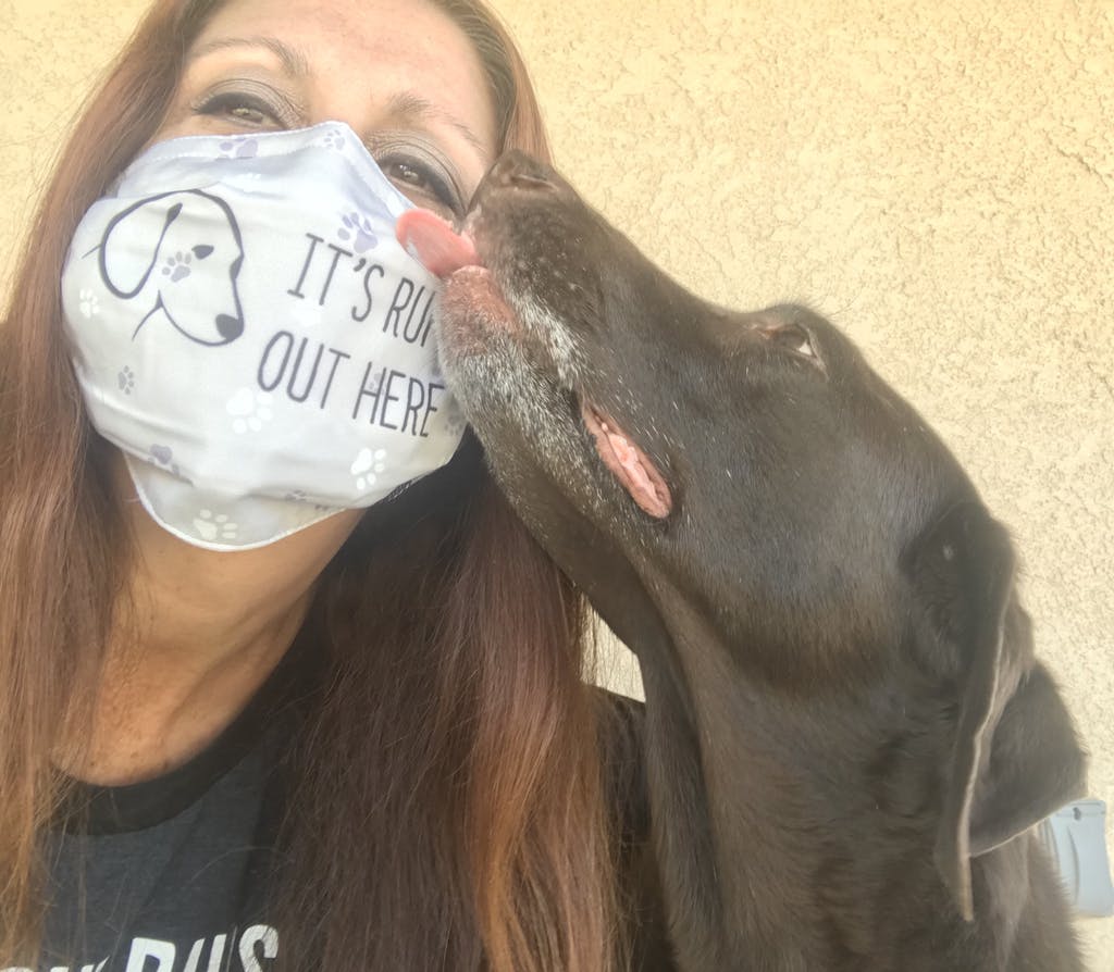 IT'S RUFF OUT HERE - Cloth Face Mask 1 pcs, 3 pcs, 6 pcs, 10 pcs