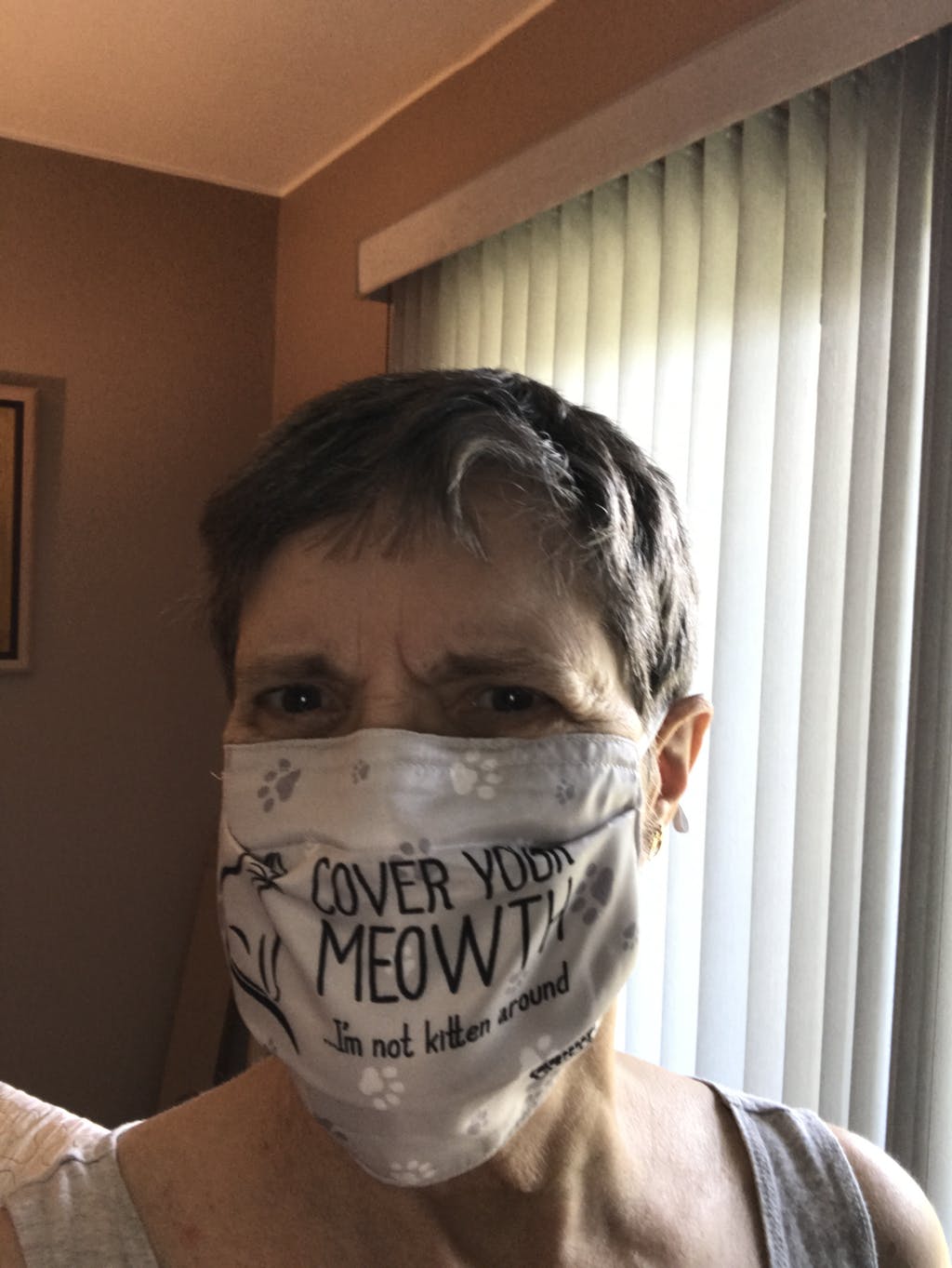 COVER YOUR MEOWTH, I'M NOT KITTEN AROUND - Cloth Face Mask 1 pcs, 3 pcs, 6 pcs, 10 pcs