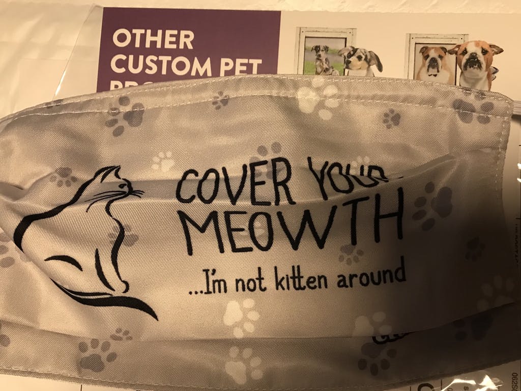 COVER YOUR MEOWTH, I'M NOT KITTEN AROUND - Cloth Face Mask 1 pcs, 3 pcs, 6 pcs, 10 pcs