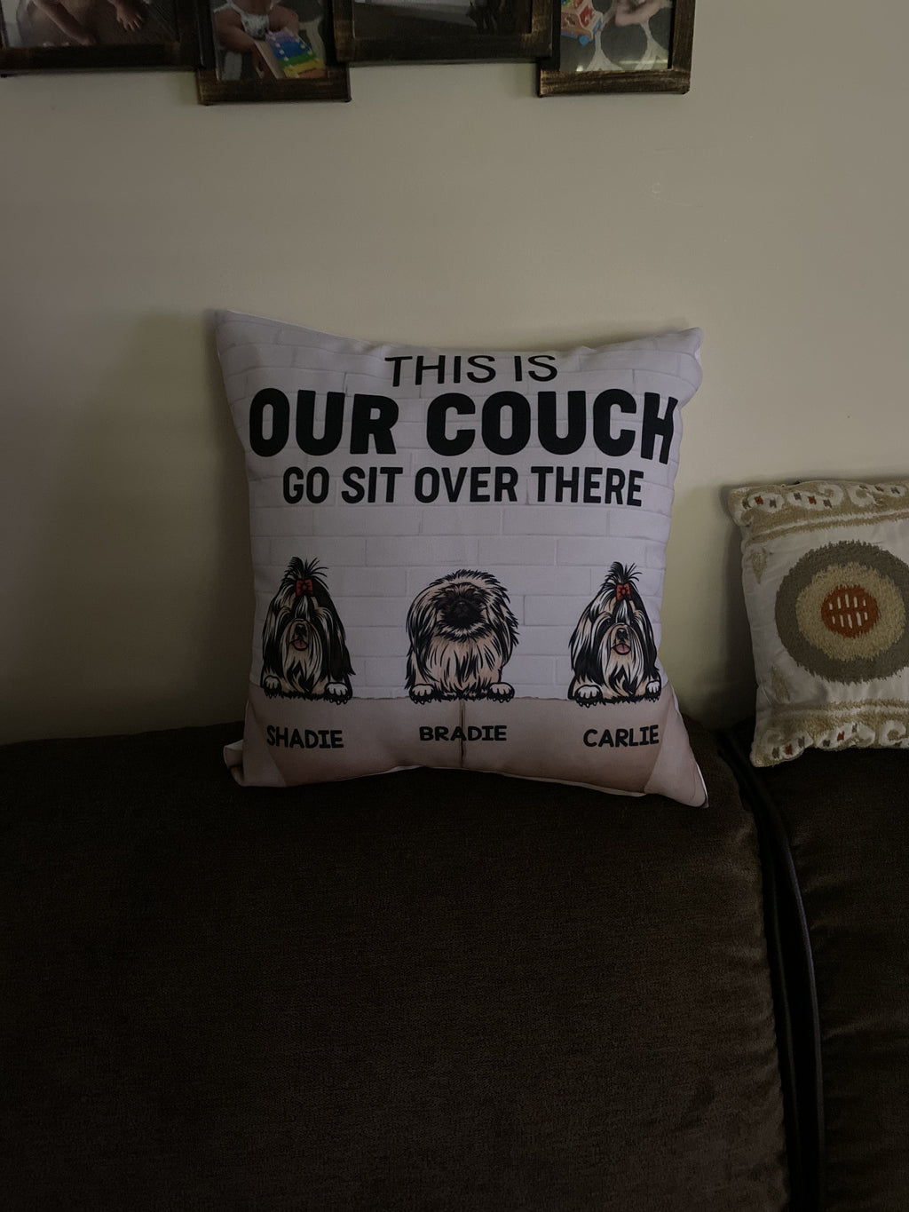 This Is Our Couch Dog Personalized Canvas Pillow (Insert Included)