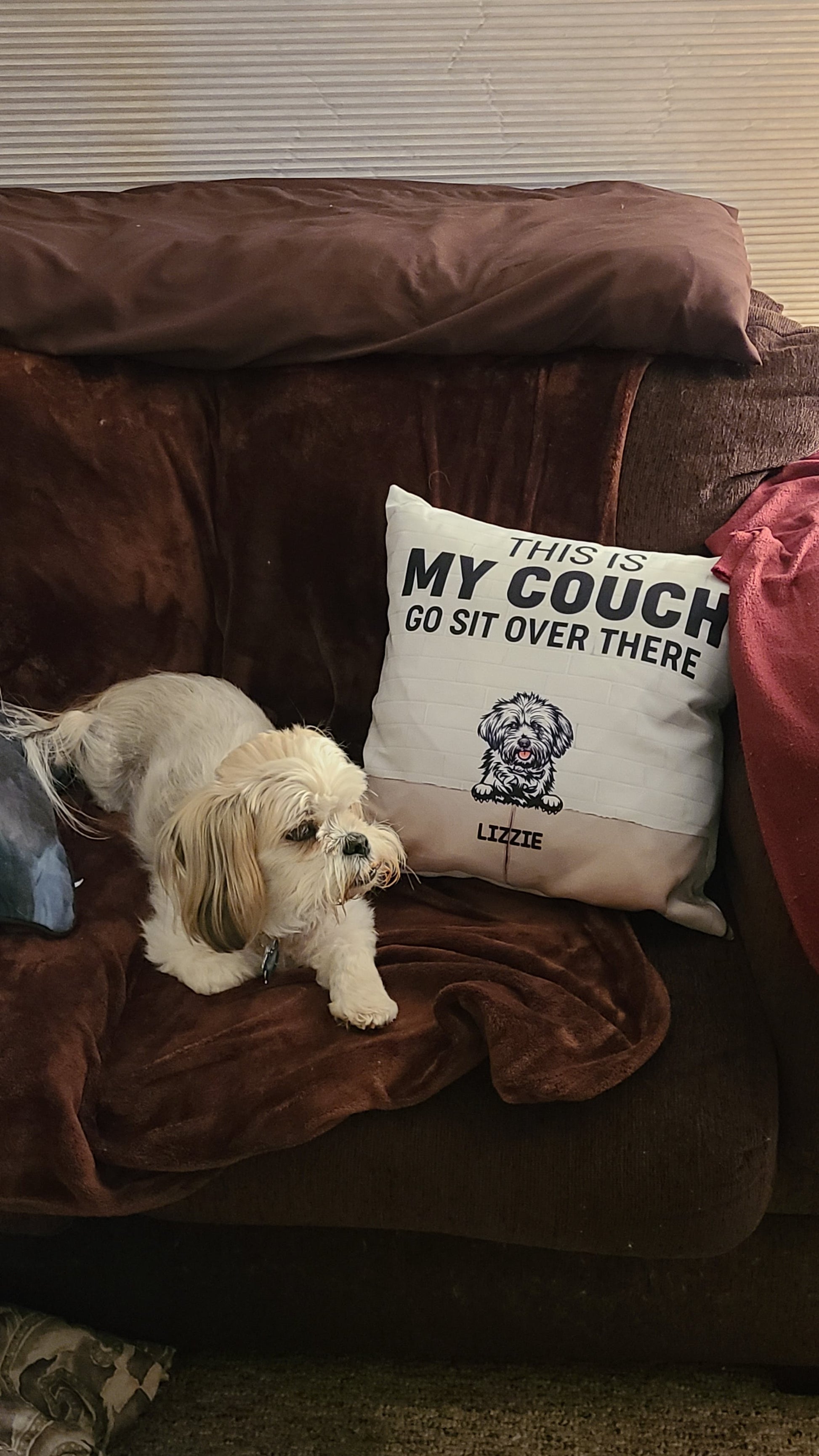 This Is Our Couch Dog Personalized Canvas Pillow (Insert Included)