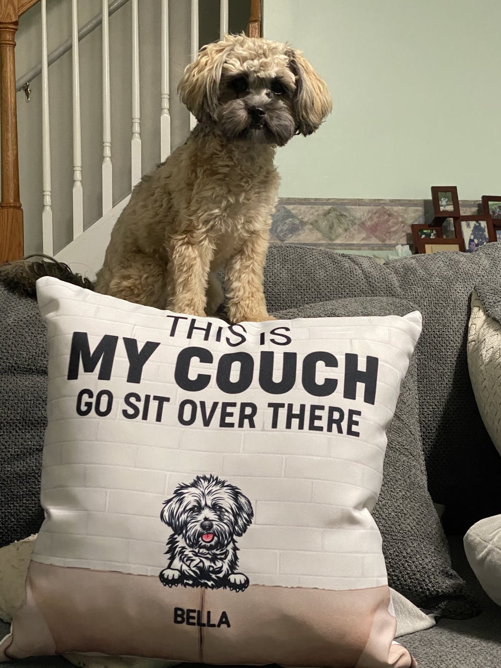 This Is Our Couch Dog Personalized Canvas Pillow (Insert Included)