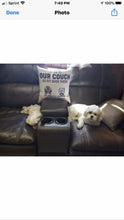 Load image into Gallery viewer, This Is Our Couch Dog Personalized Canvas Pillow (Insert Included)