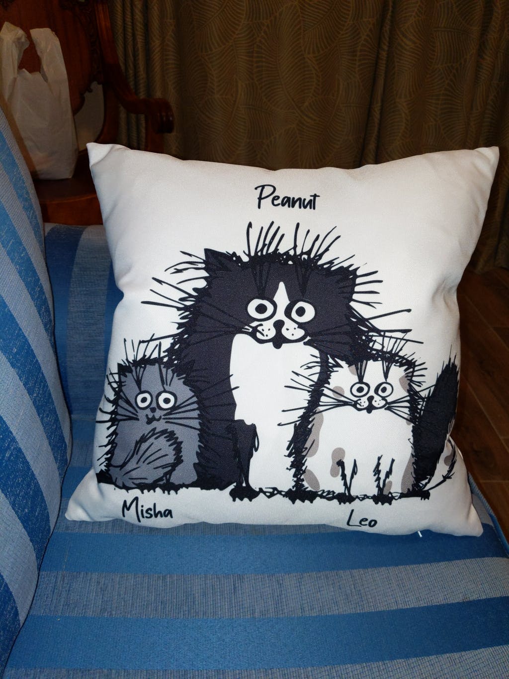 Funny Cat Personalized Canvas Pillow (Insert Included)