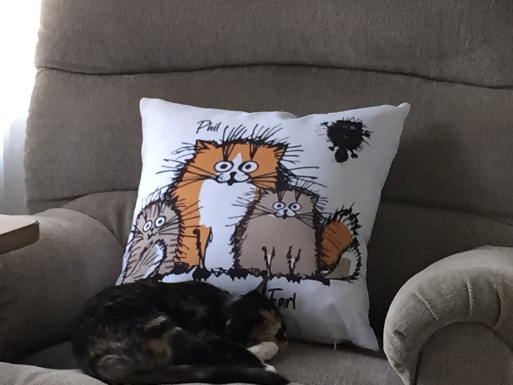 Funny Cat Personalized Canvas Pillow (Insert Included)