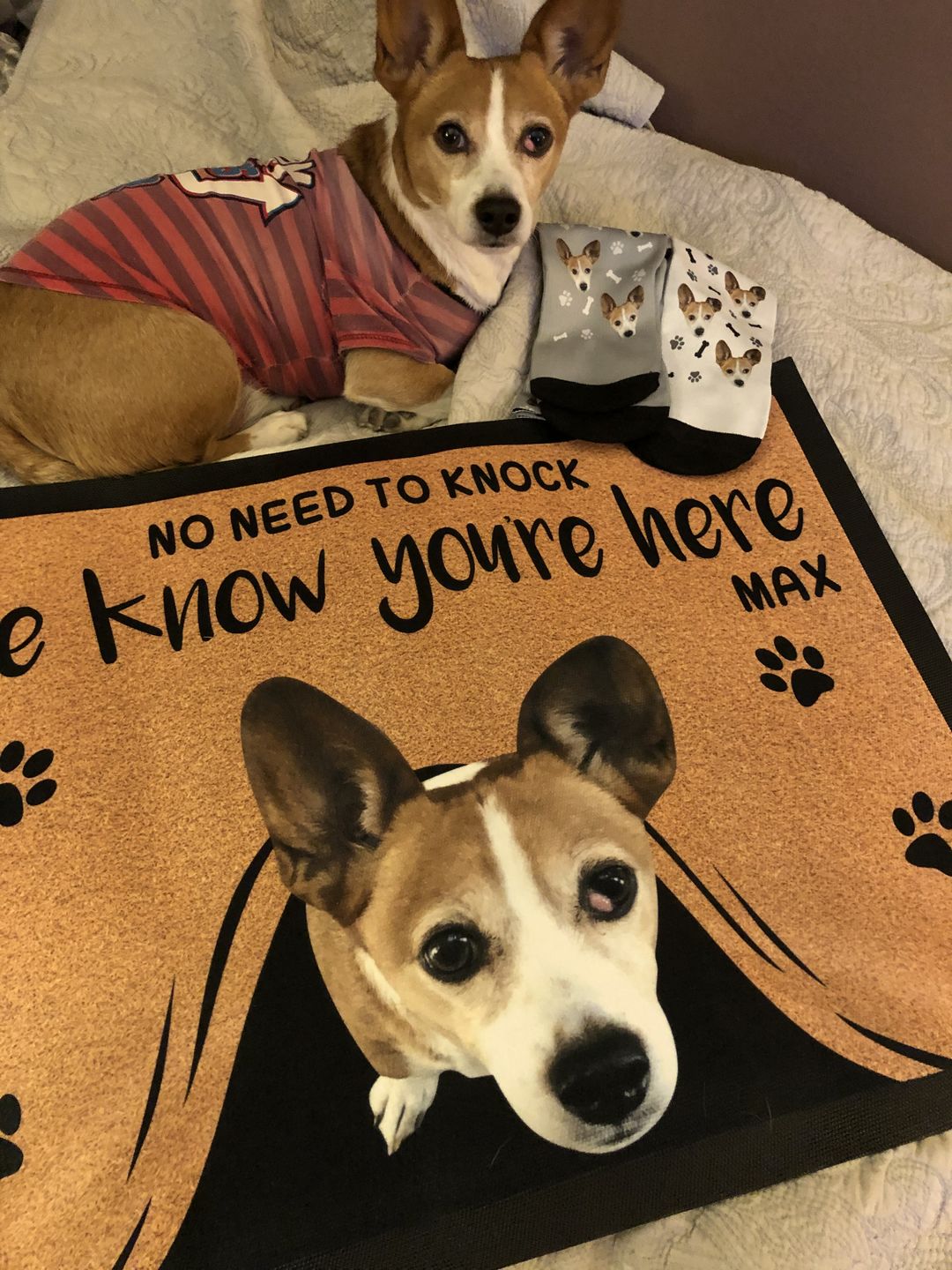 NO NEED TO KNOCK WE KNOW YOU'RE HERE - CUSTOM FUNNY PET DOORMAT