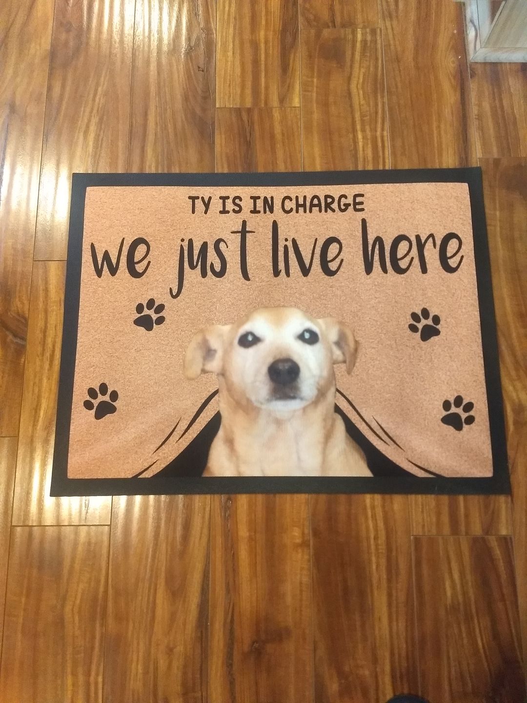 WE JUST LIVE HERE - FUNNY CUSTOM PET DOORMAT