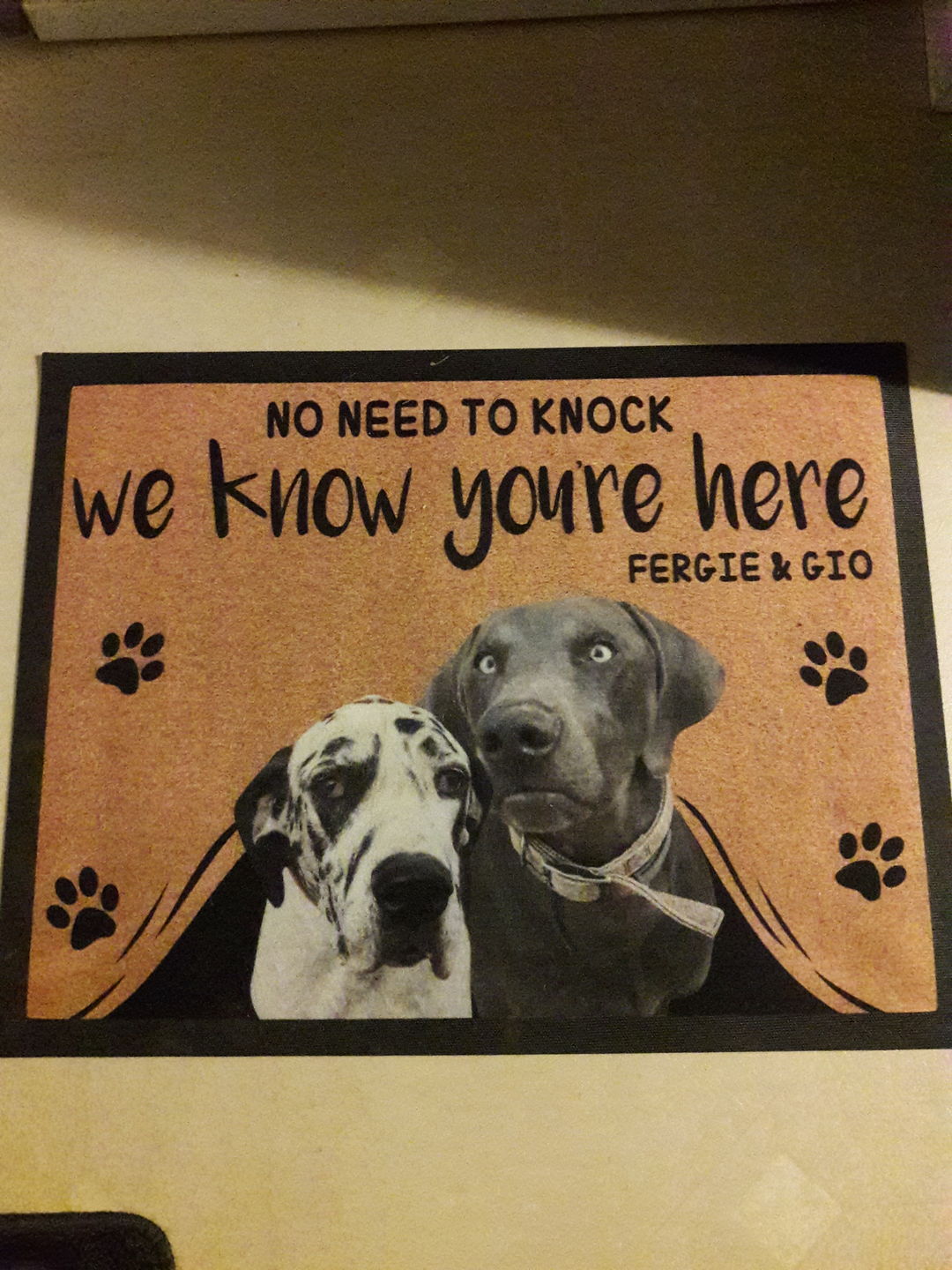 NO NEED TO KNOCK WE KNOW YOU'RE HERE - CUSTOM FUNNY PET DOORMAT