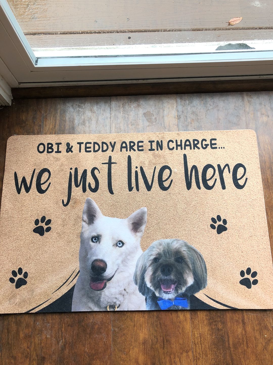 WE JUST LIVE HERE - FUNNY CUSTOM PET DOORMAT