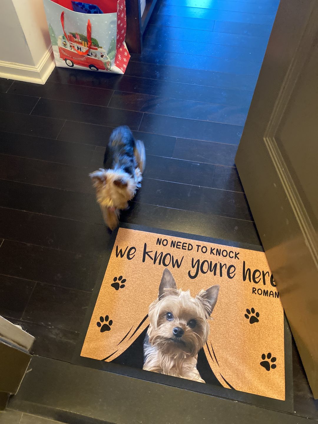 NO NEED TO KNOCK WE KNOW YOU'RE HERE - CUSTOM FUNNY PET DOORMAT