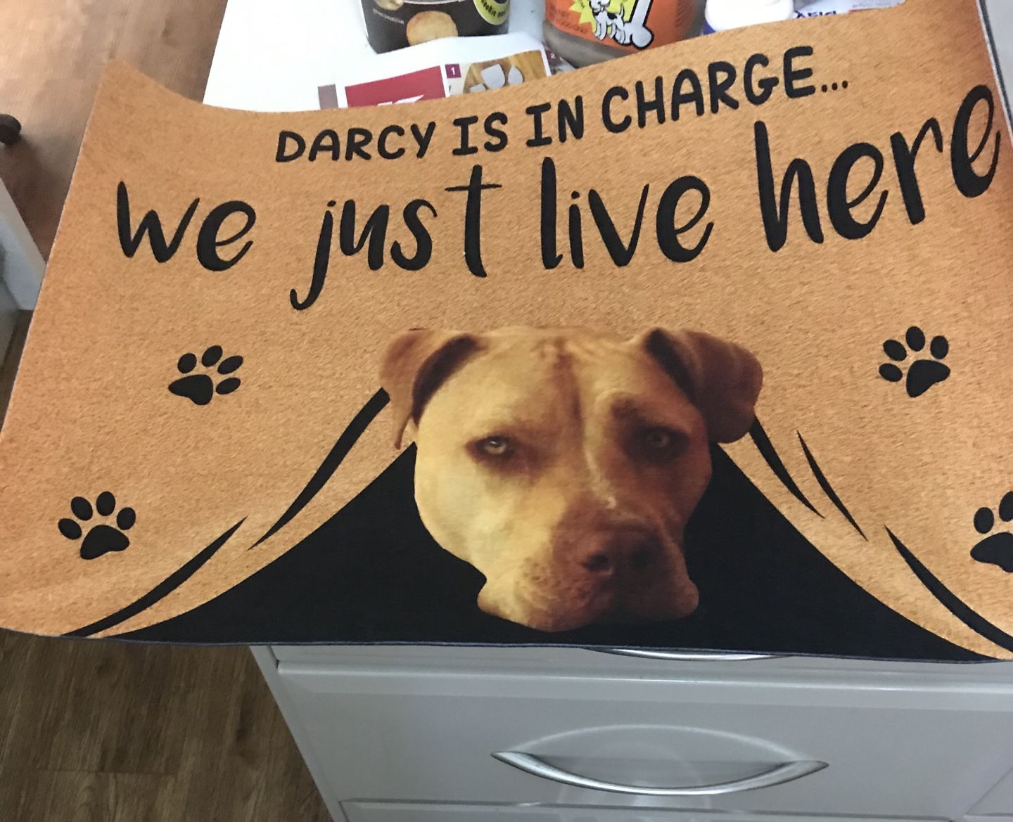 WE JUST LIVE HERE - FUNNY CUSTOM PET DOORMAT