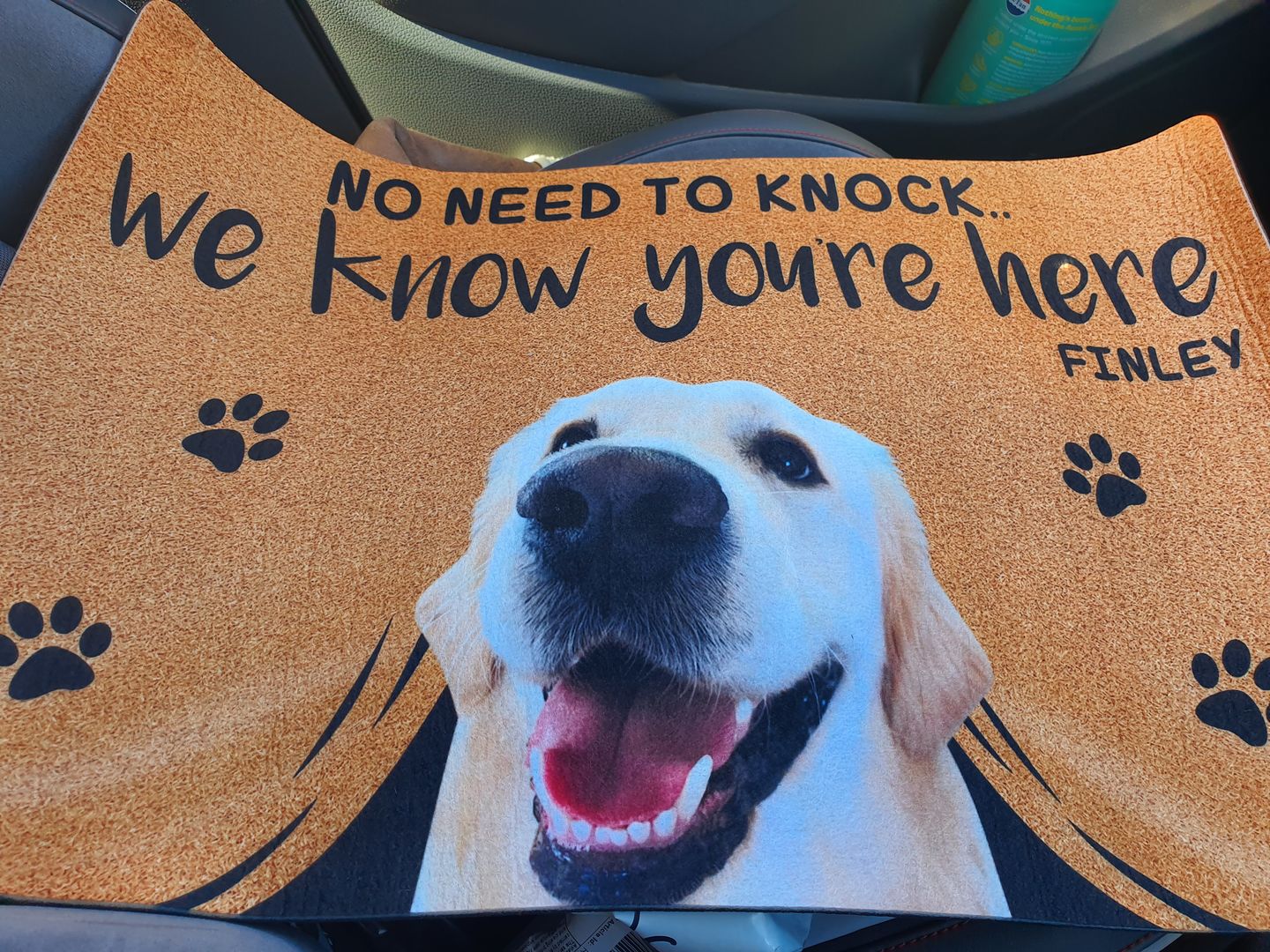NO NEED TO KNOCK WE KNOW YOU'RE HERE - CUSTOM FUNNY PET DOORMAT