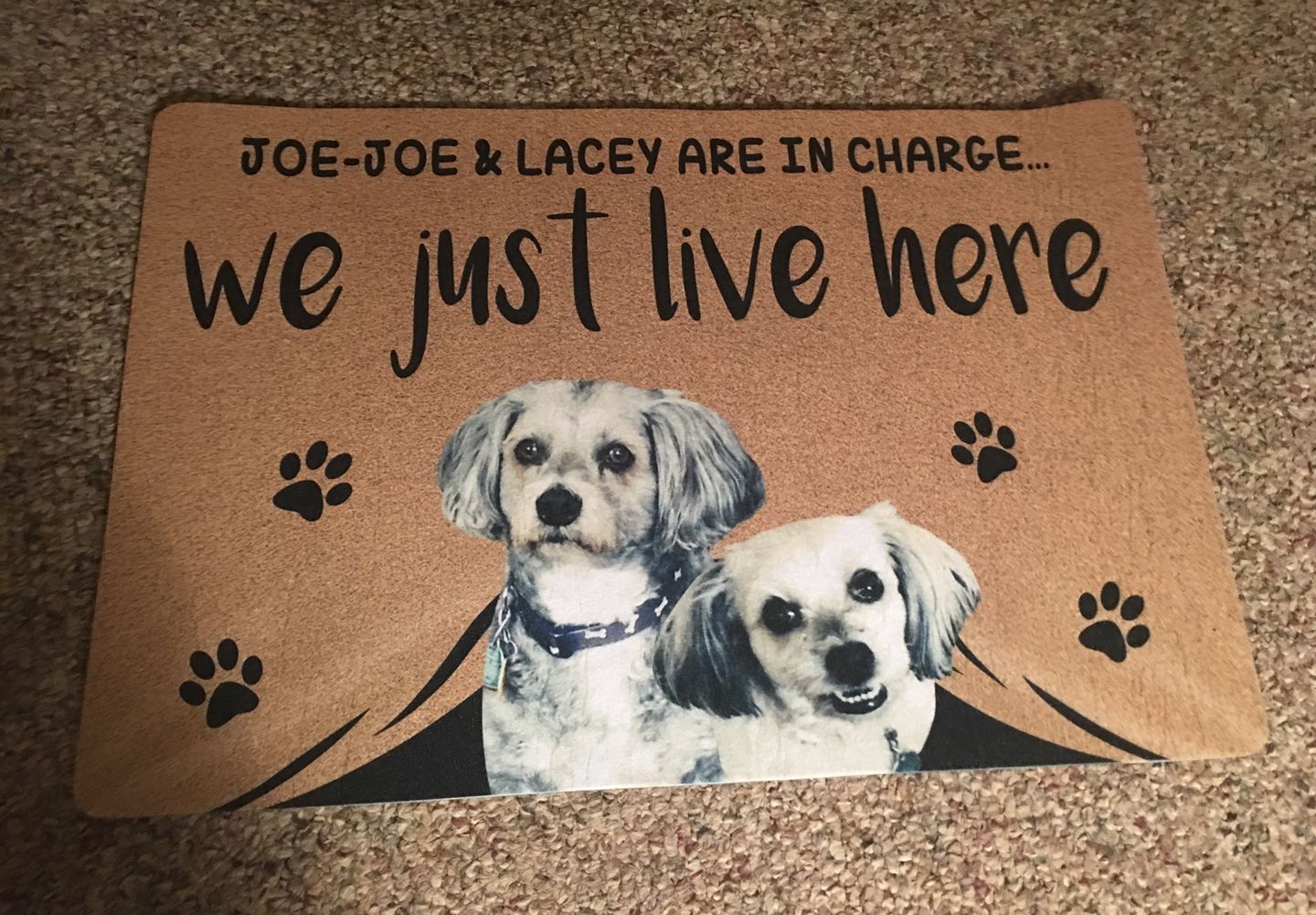 WE JUST LIVE HERE - FUNNY CUSTOM PET DOORMAT