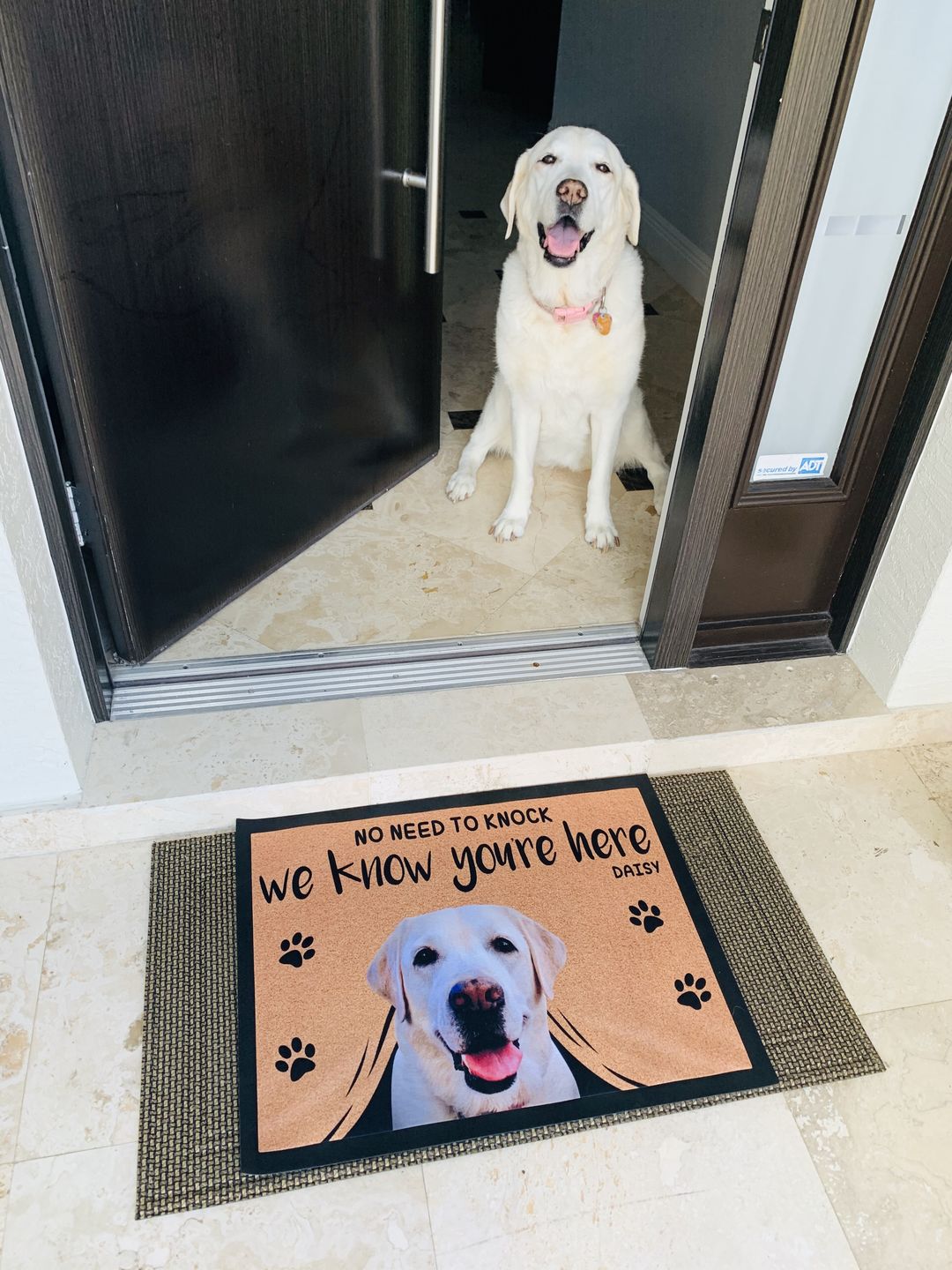 NO NEED TO KNOCK WE KNOW YOU'RE HERE - CUSTOM FUNNY PET DOORMAT
