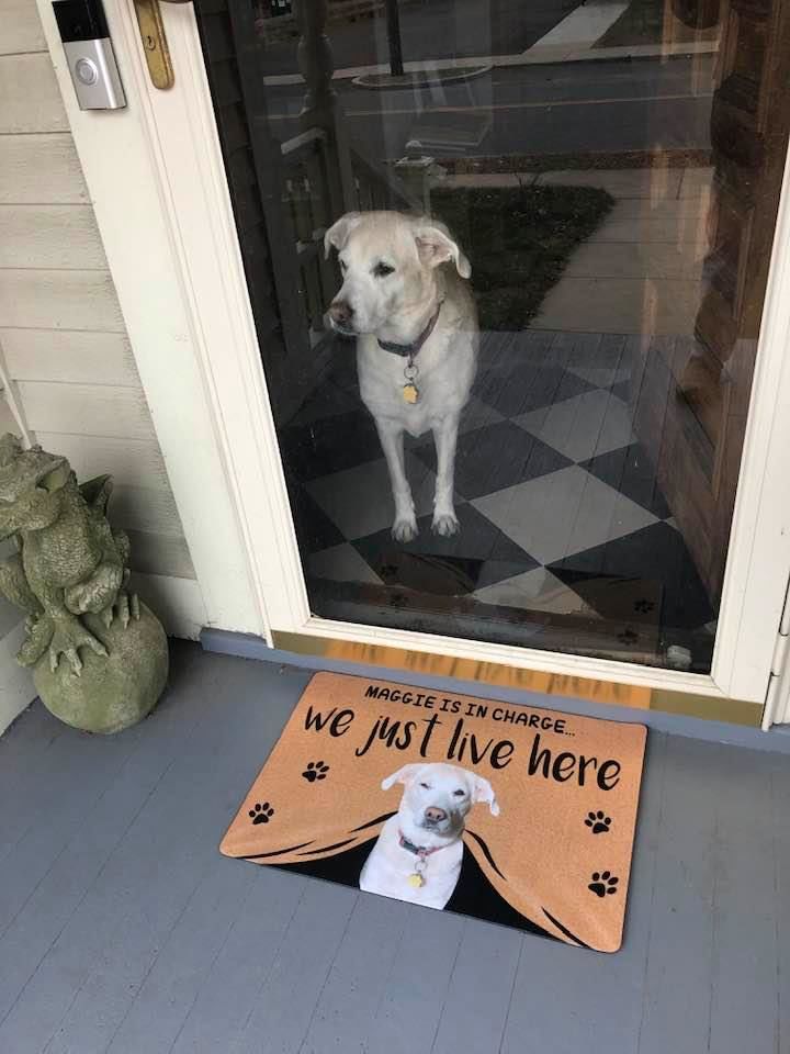 WE JUST LIVE HERE - FUNNY CUSTOM PET DOORMAT