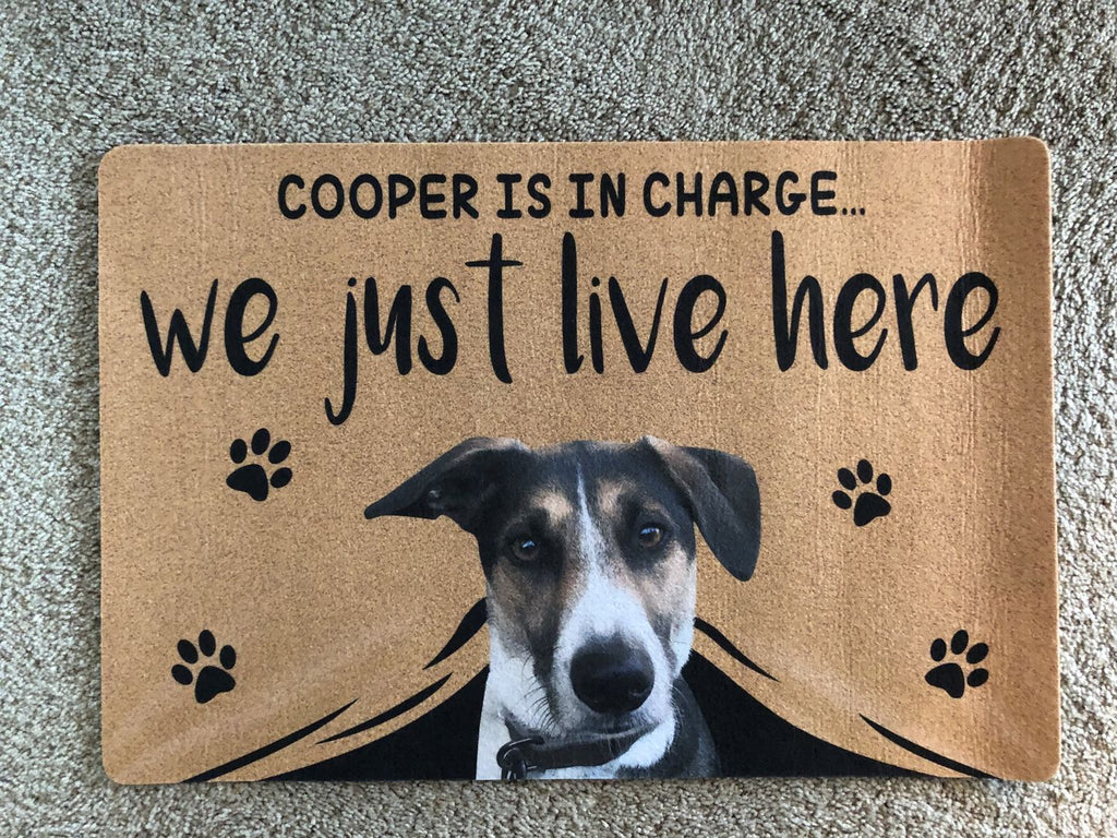 WE JUST LIVE HERE - FUNNY CUSTOM PET DOORMAT