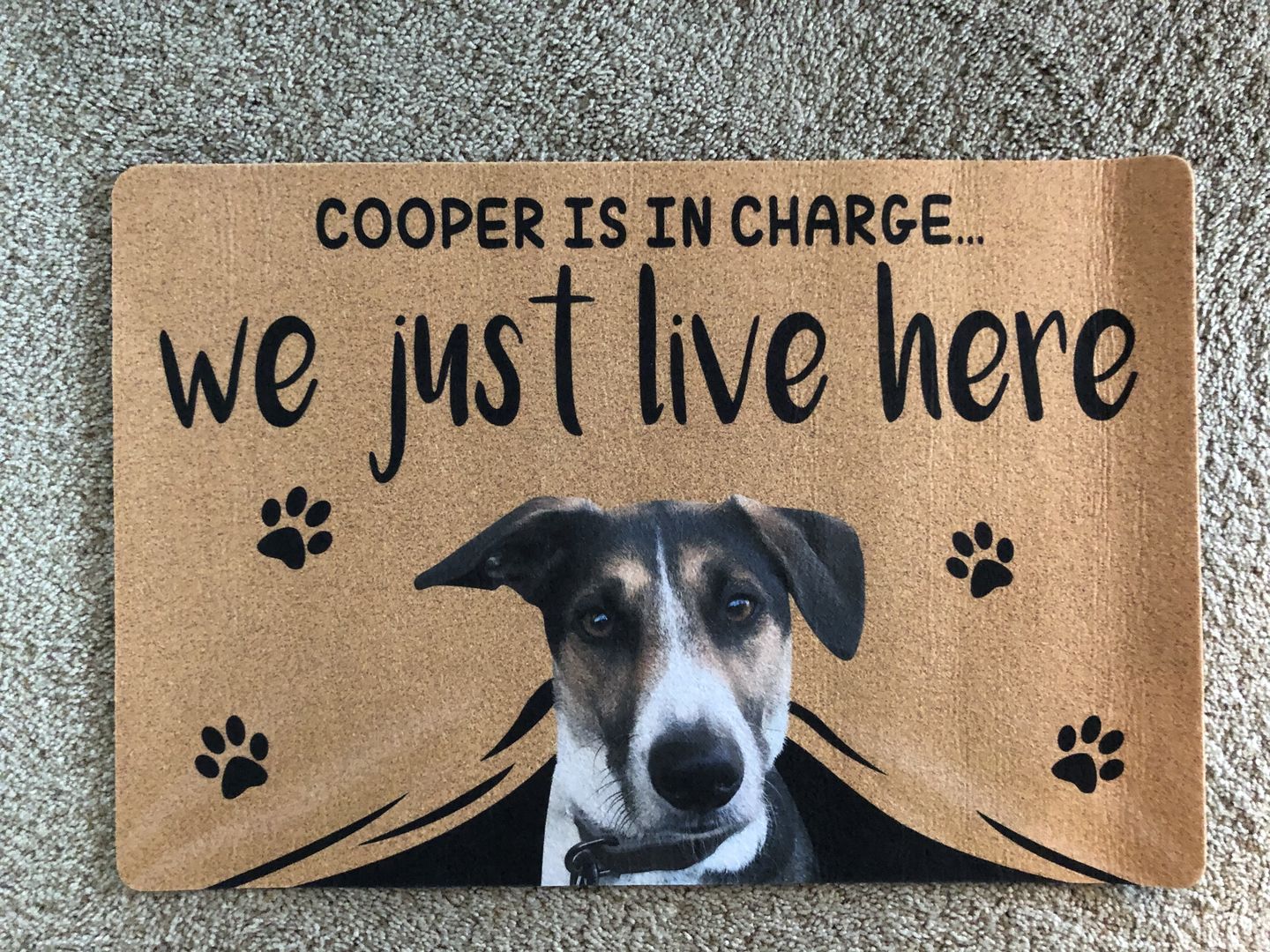 WE JUST LIVE HERE - FUNNY CUSTOM PET DOORMAT