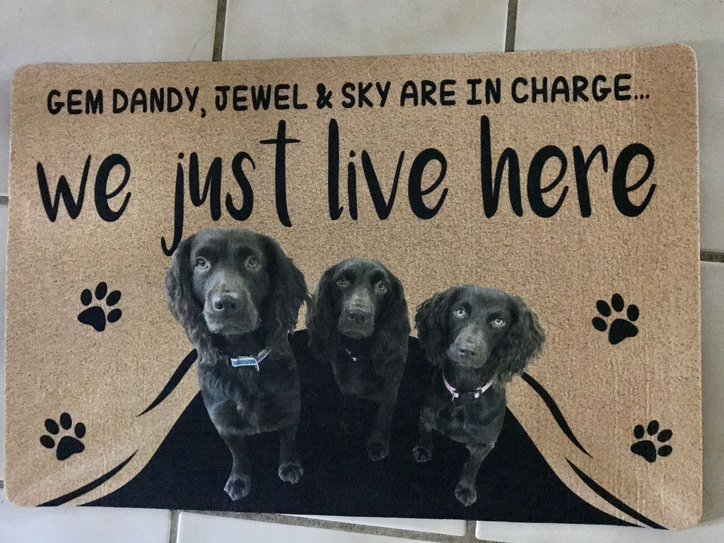 WE JUST LIVE HERE - FUNNY CUSTOM PET DOORMAT