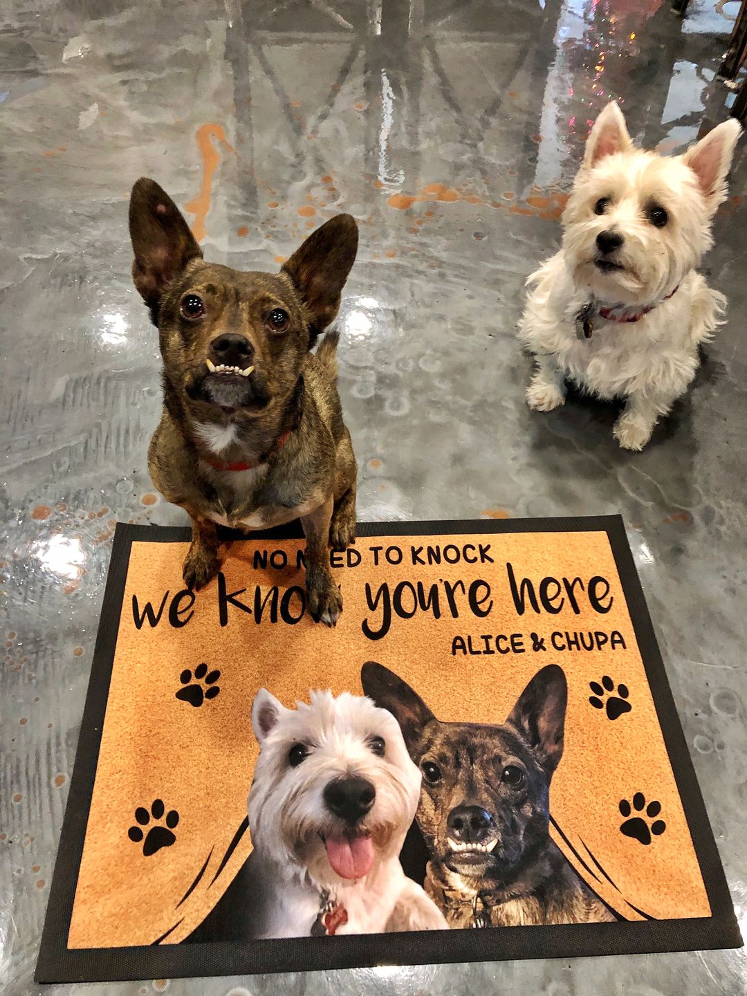 NO NEED TO KNOCK WE KNOW YOU'RE HERE - CUSTOM FUNNY PET DOORMAT
