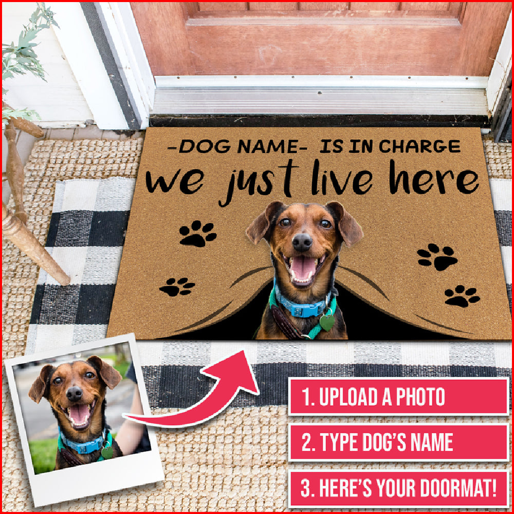 WE JUST LIVE HERE - FUNNY CUSTOM PET DOORMAT