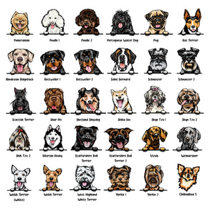 This Is Our Couch Dog Personalized Canvas Pillow (Insert Included)