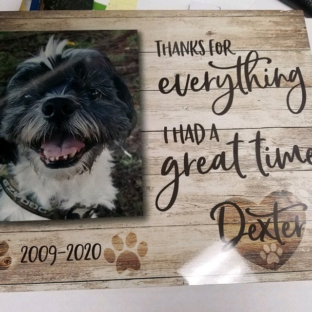 THANKS FOR EVERYTHING - Personalized Pet Memorial - Premium Plaque, Canvas